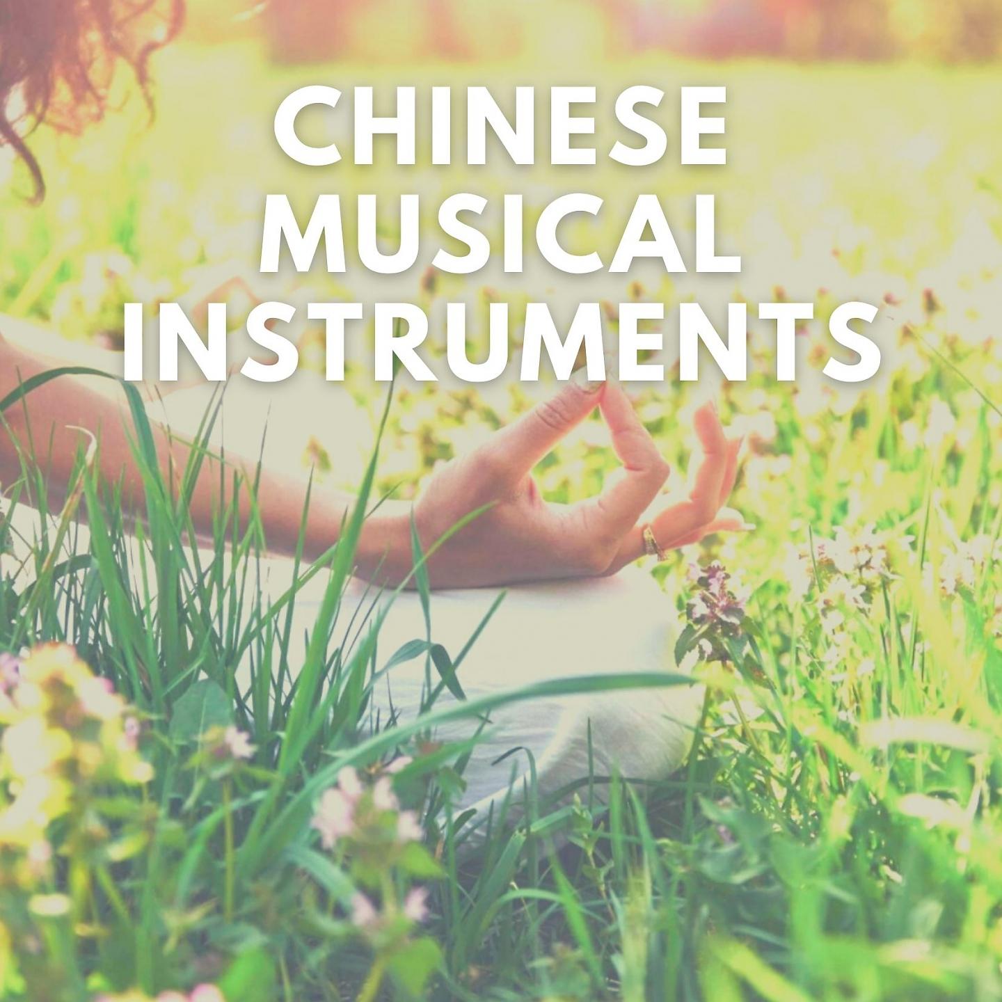 Постер альбома Chinese Instrumental Music