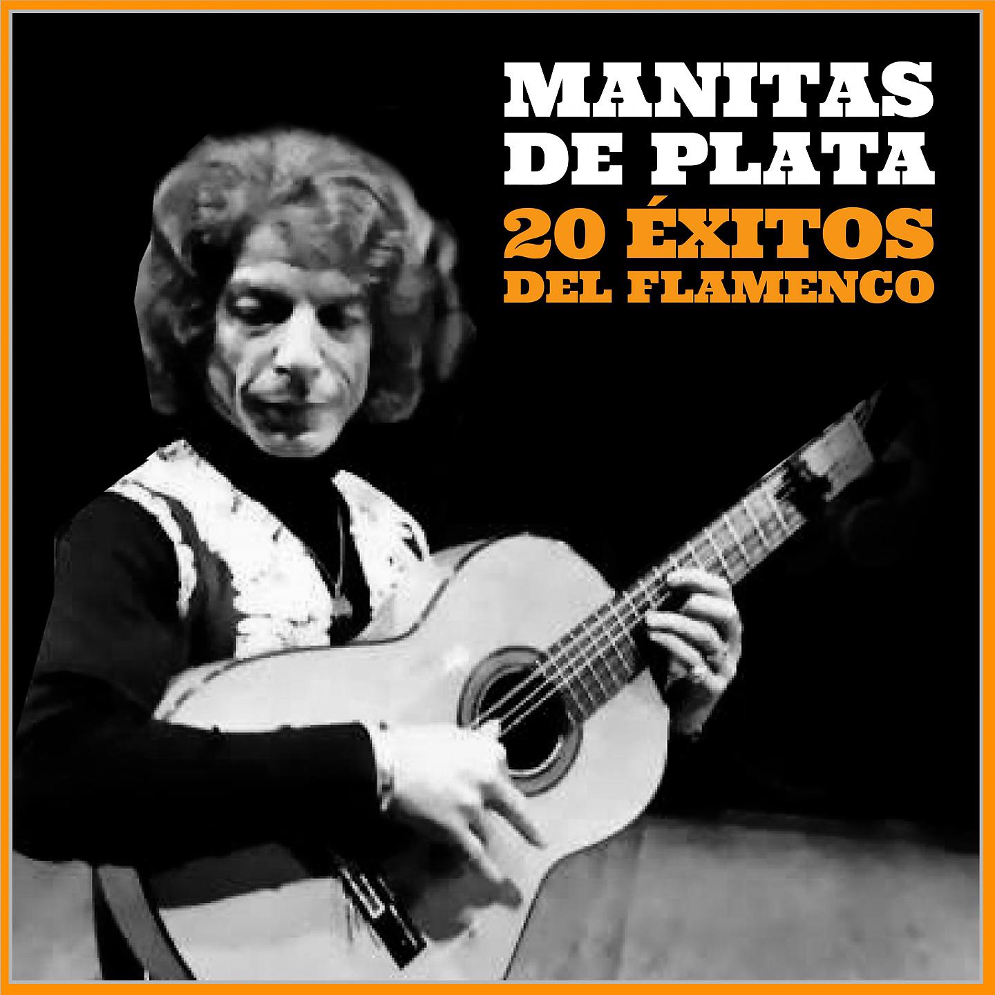 Постер альбома Manitas de Plata: 20 Éxitos del Flamenco