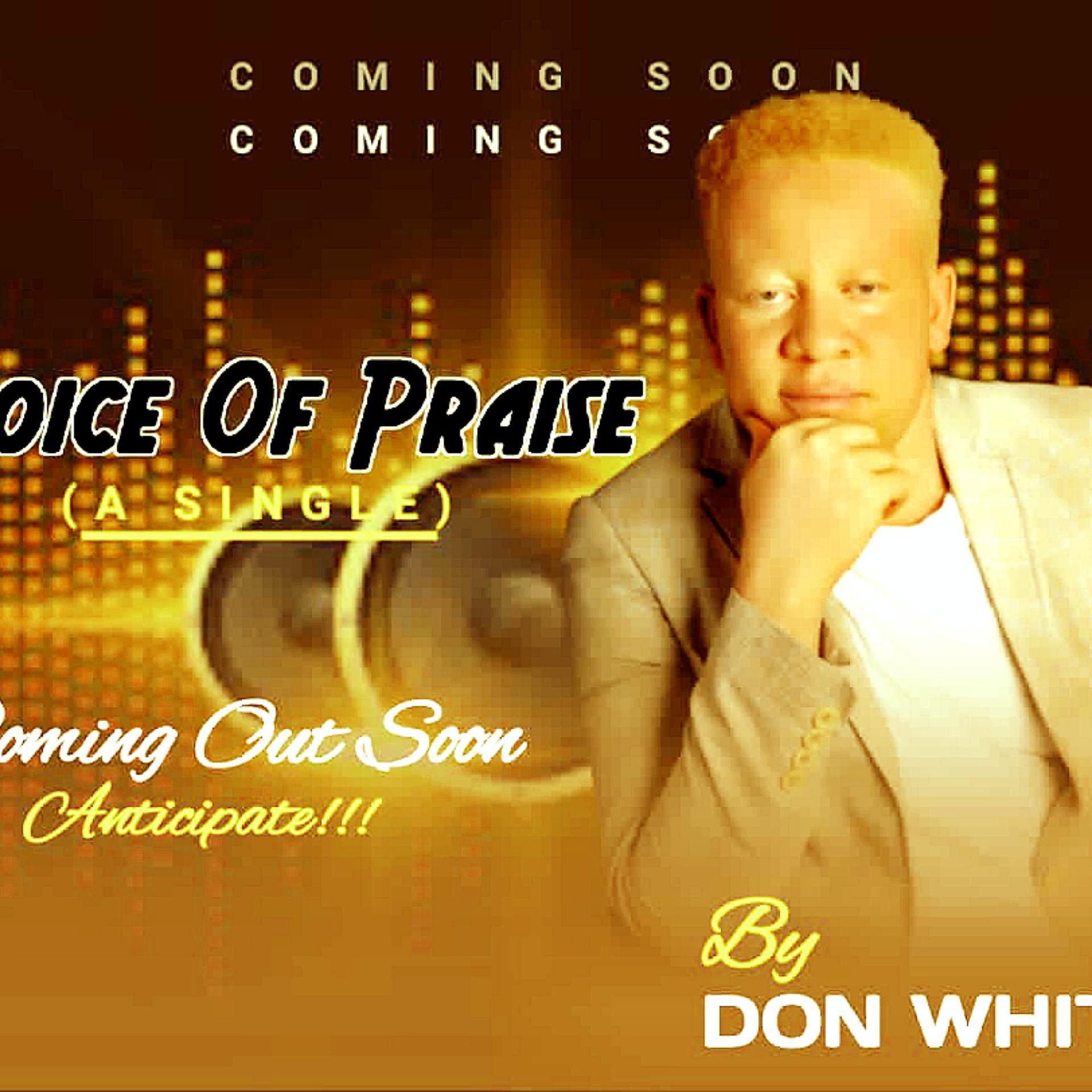 Постер альбома Voice of Praise (feat. The Anointed Gospel Crew)