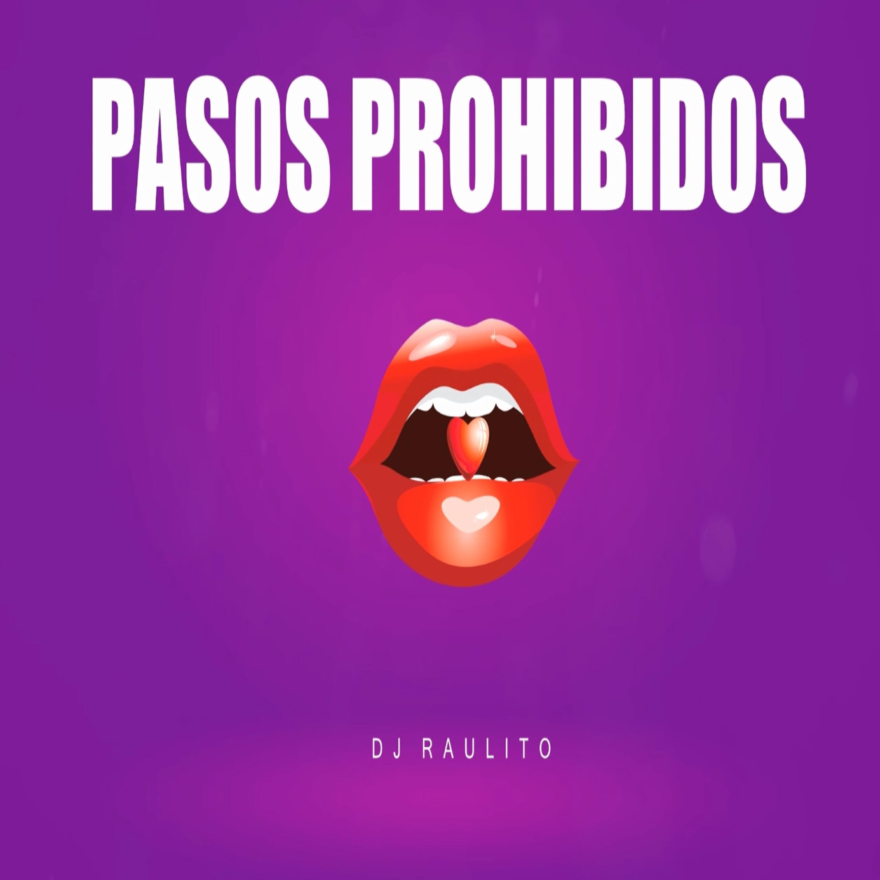 Dj Raulito - Pasos Prohibidos