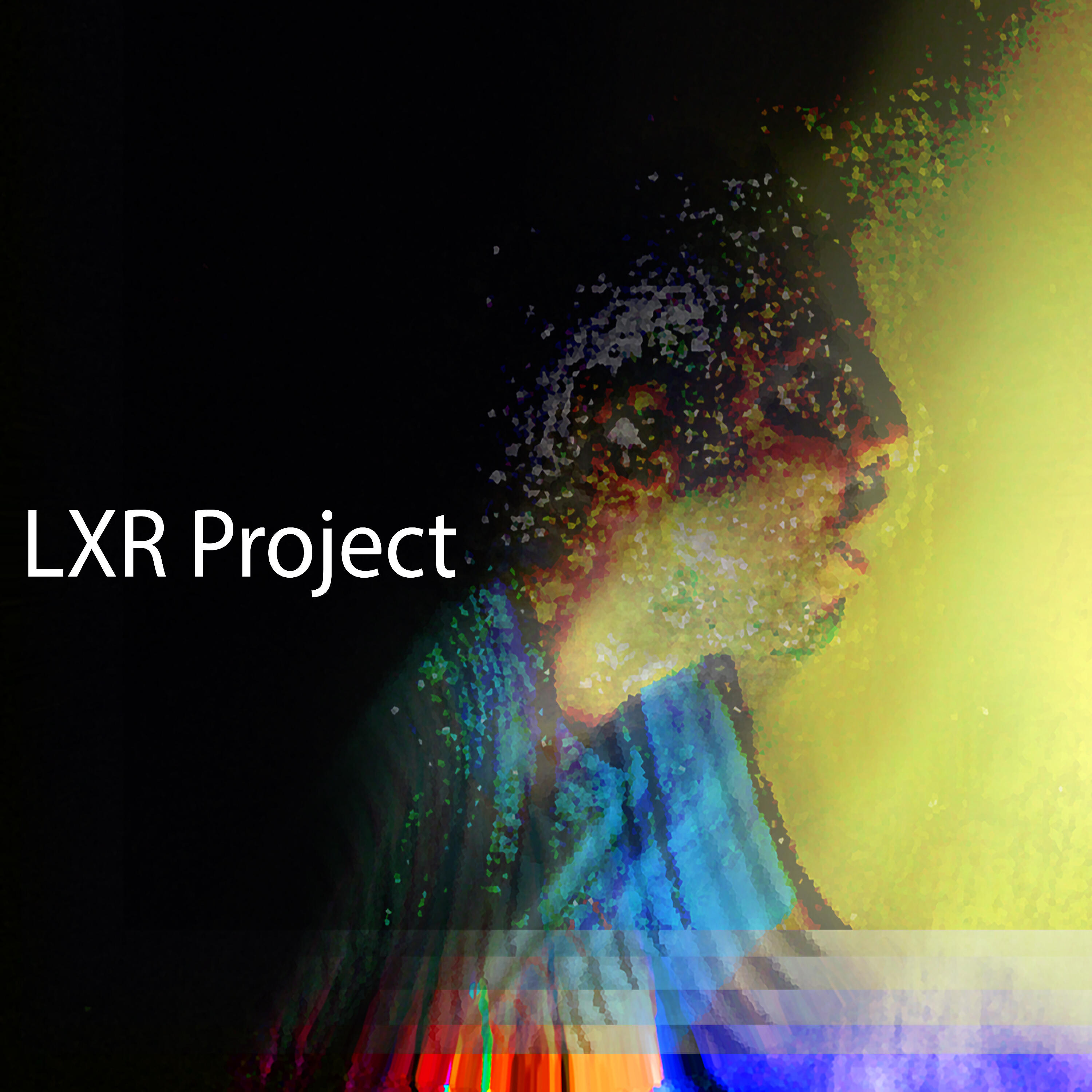 LXR Project - + 3M
