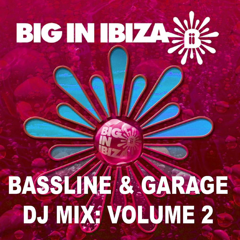 Постер альбома Bassline & Garage: DJ Mix Vol 2