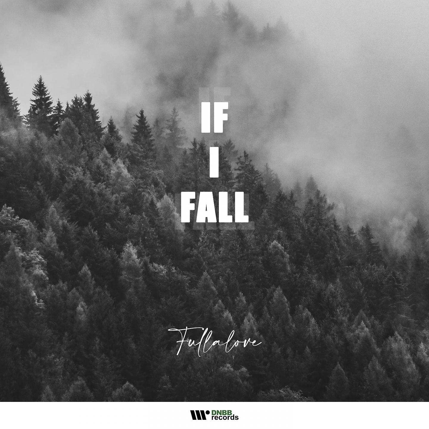 Постер альбома If I Fall