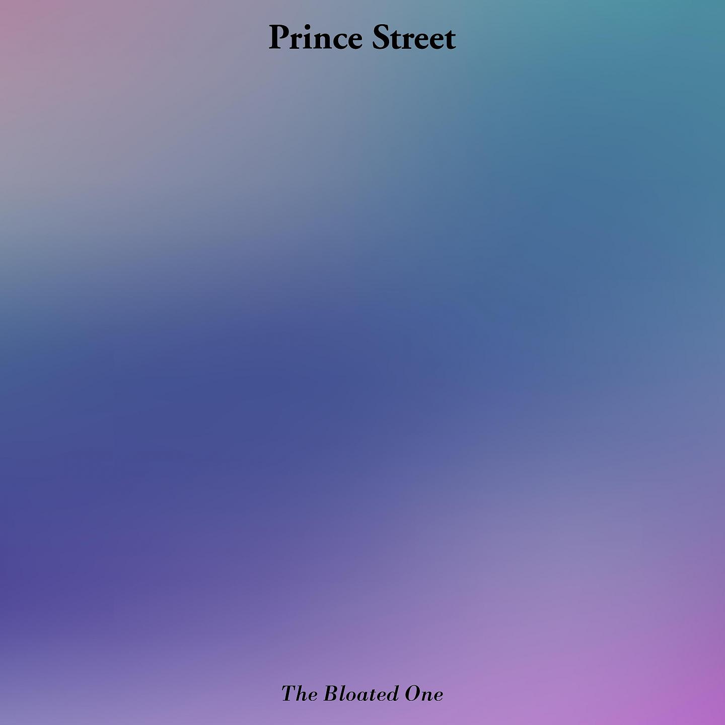 Постер альбома Prince Street