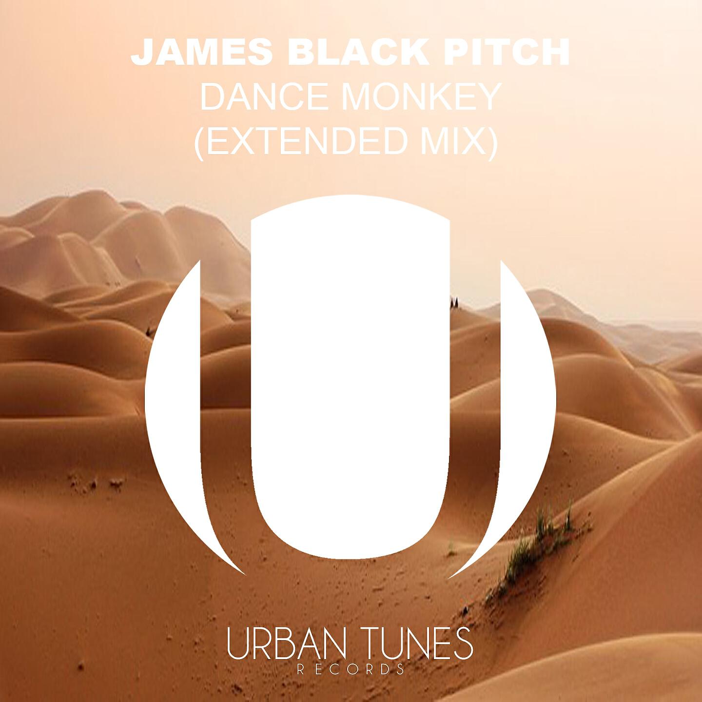 James Black Pitch - Dance Monkey (Extended Mix)