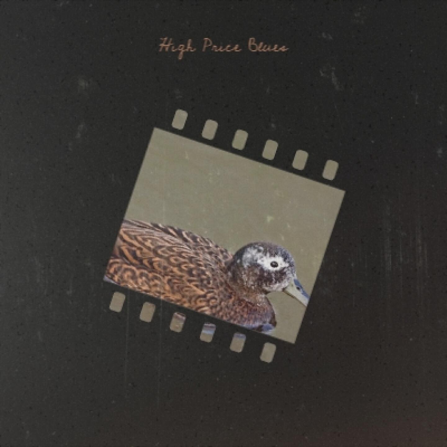 Roosevelt Sykes - High Price Blues