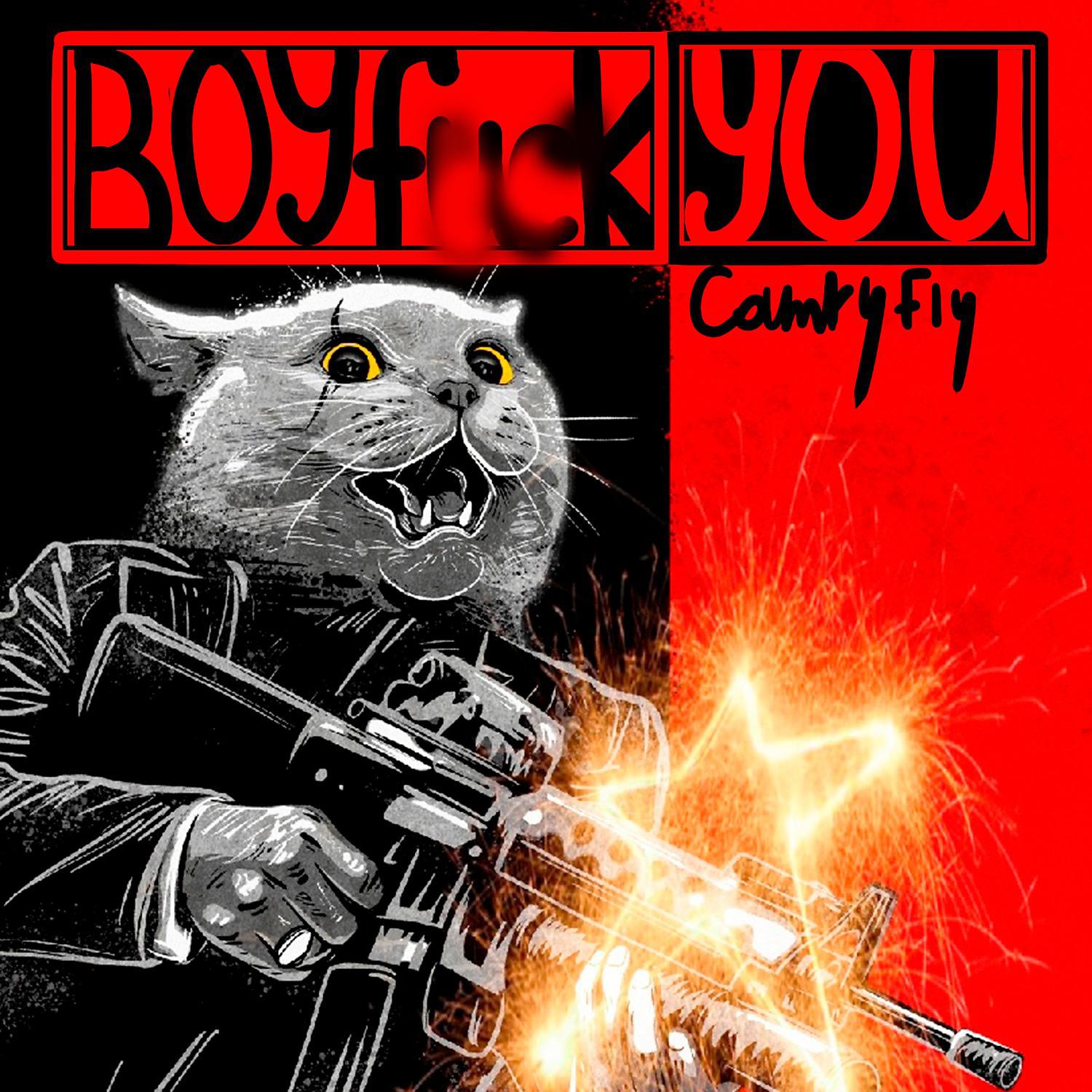 Постер альбома Boy Fuck You