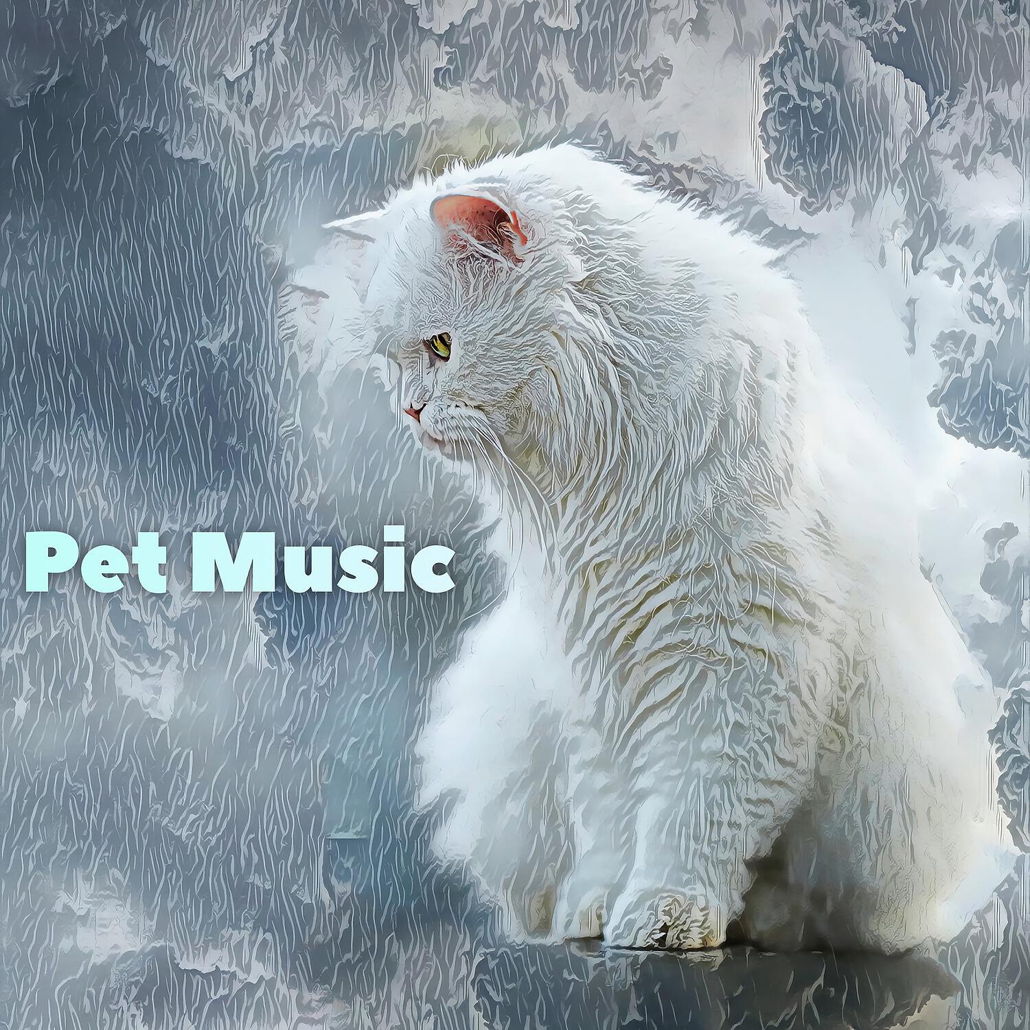 Calm Pets Music Academy - Country Morning