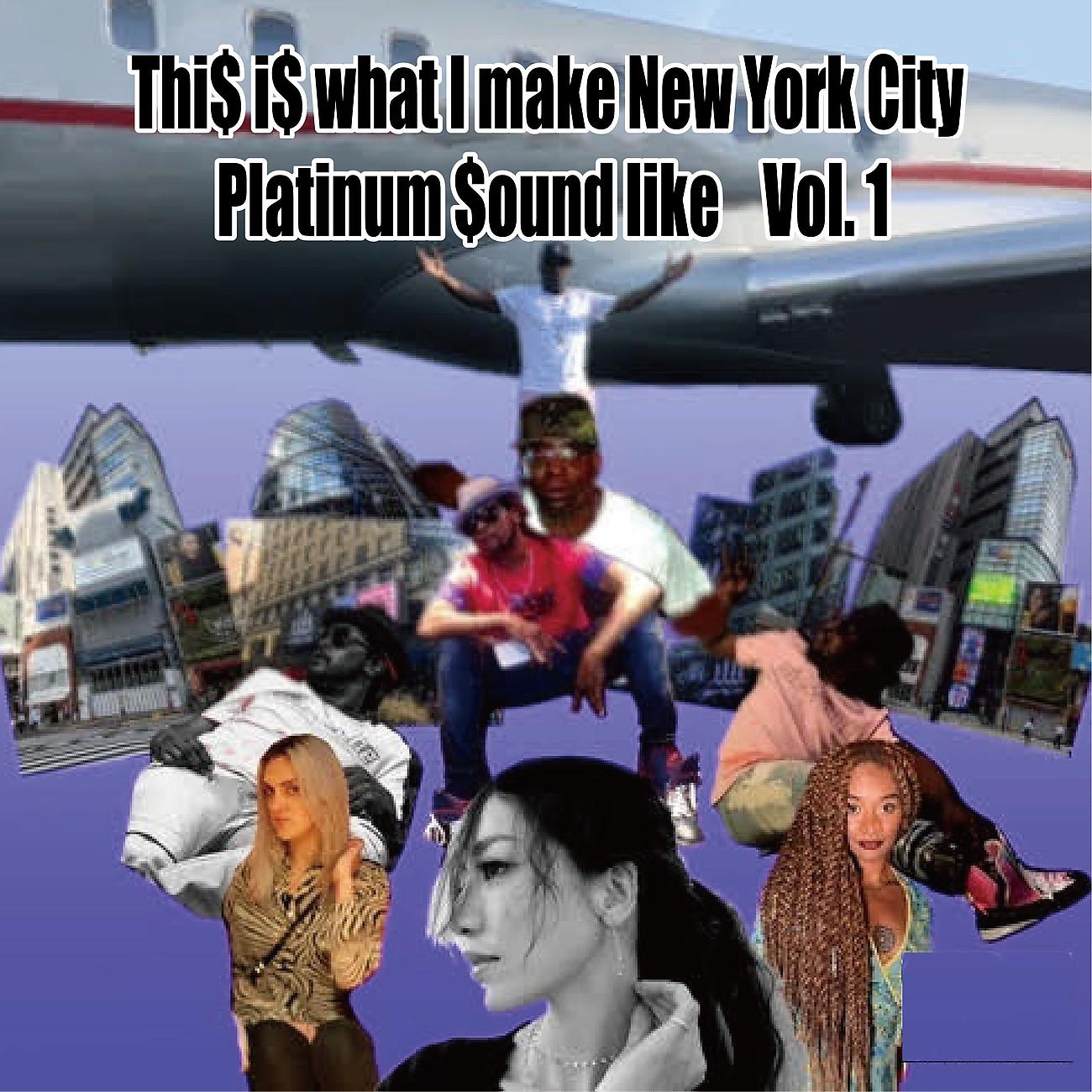 Постер альбома This Is What I Make New York City Platinum Sound Like, Vol. 1