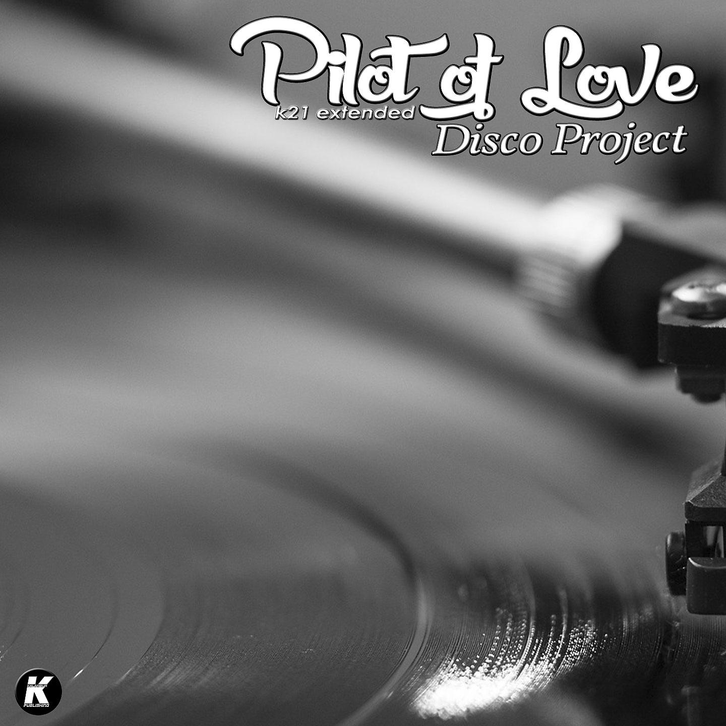 Постер альбома Disco Project