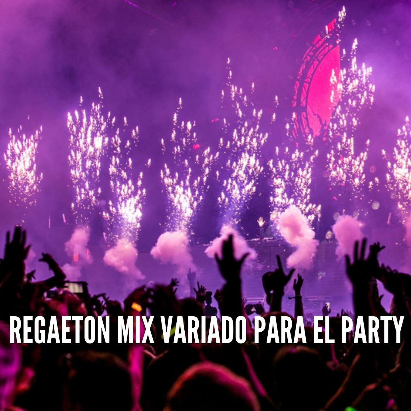 Постер альбома Regaeton Mix Variado para el Party