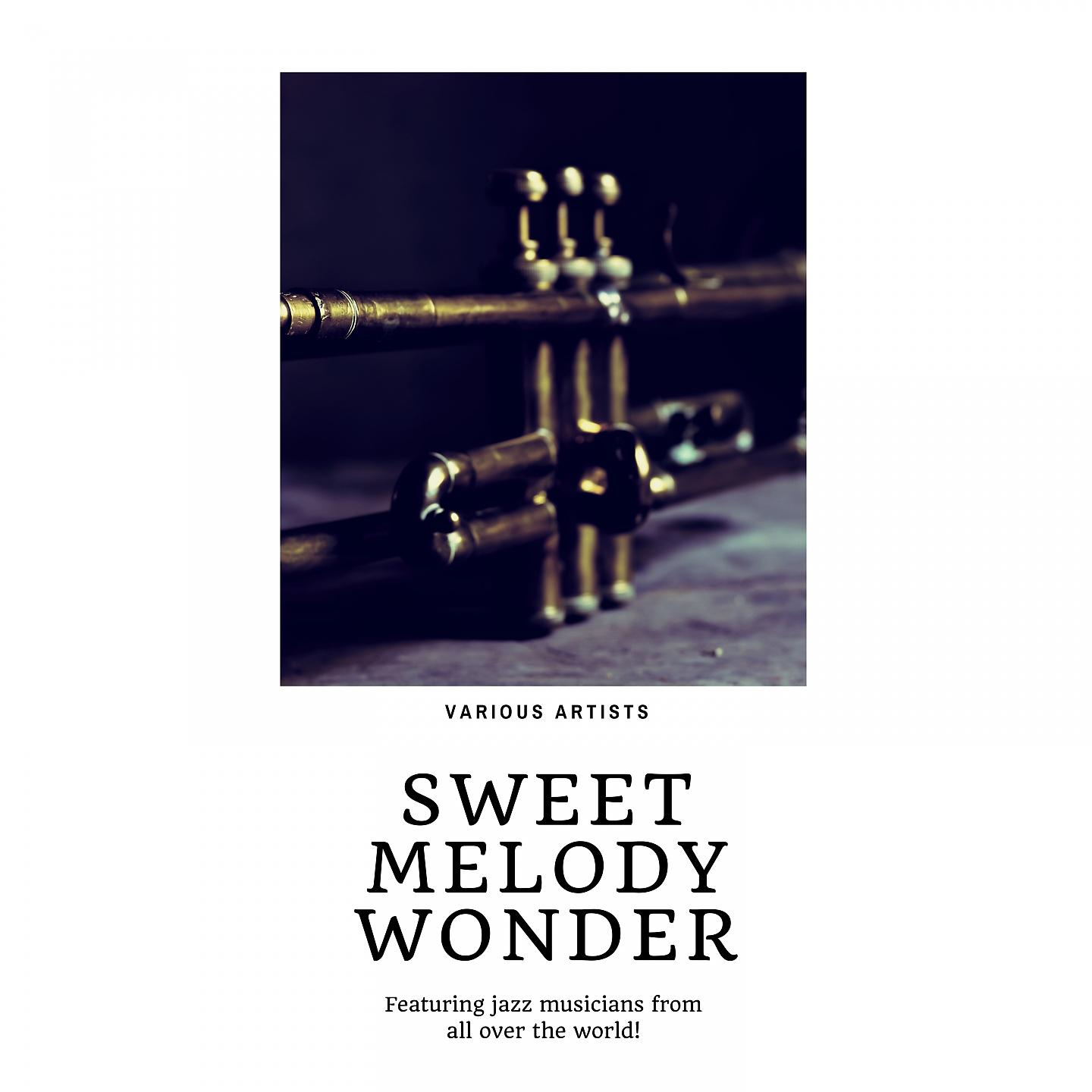 Постер альбома Sweet Melody Wonder