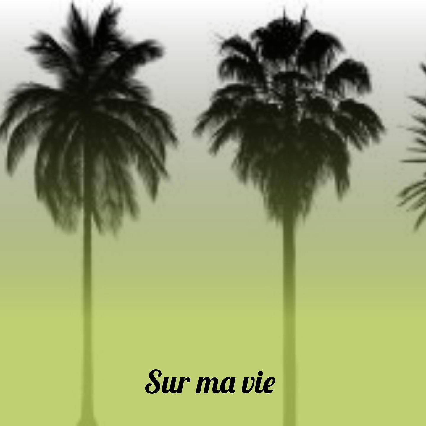 Постер альбома Sur Ma Vie