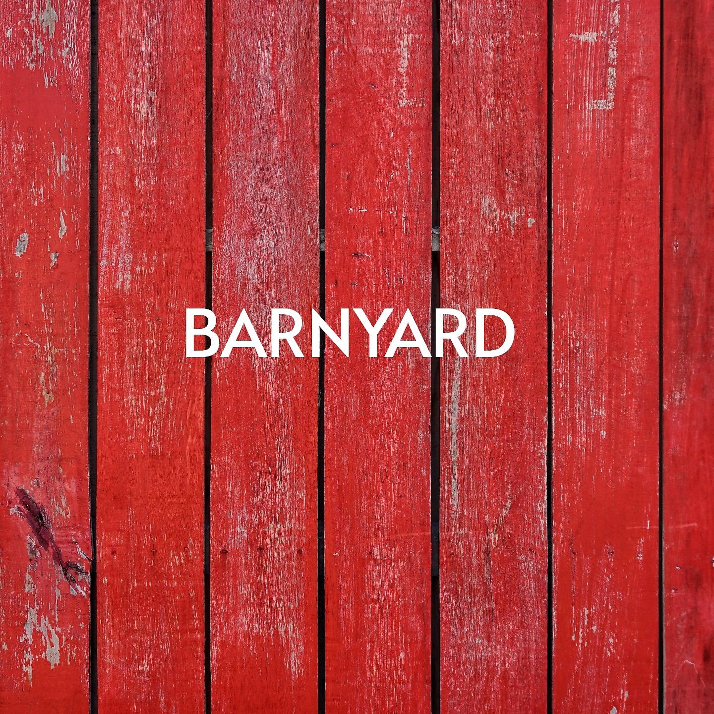 Постер альбома Barnyard