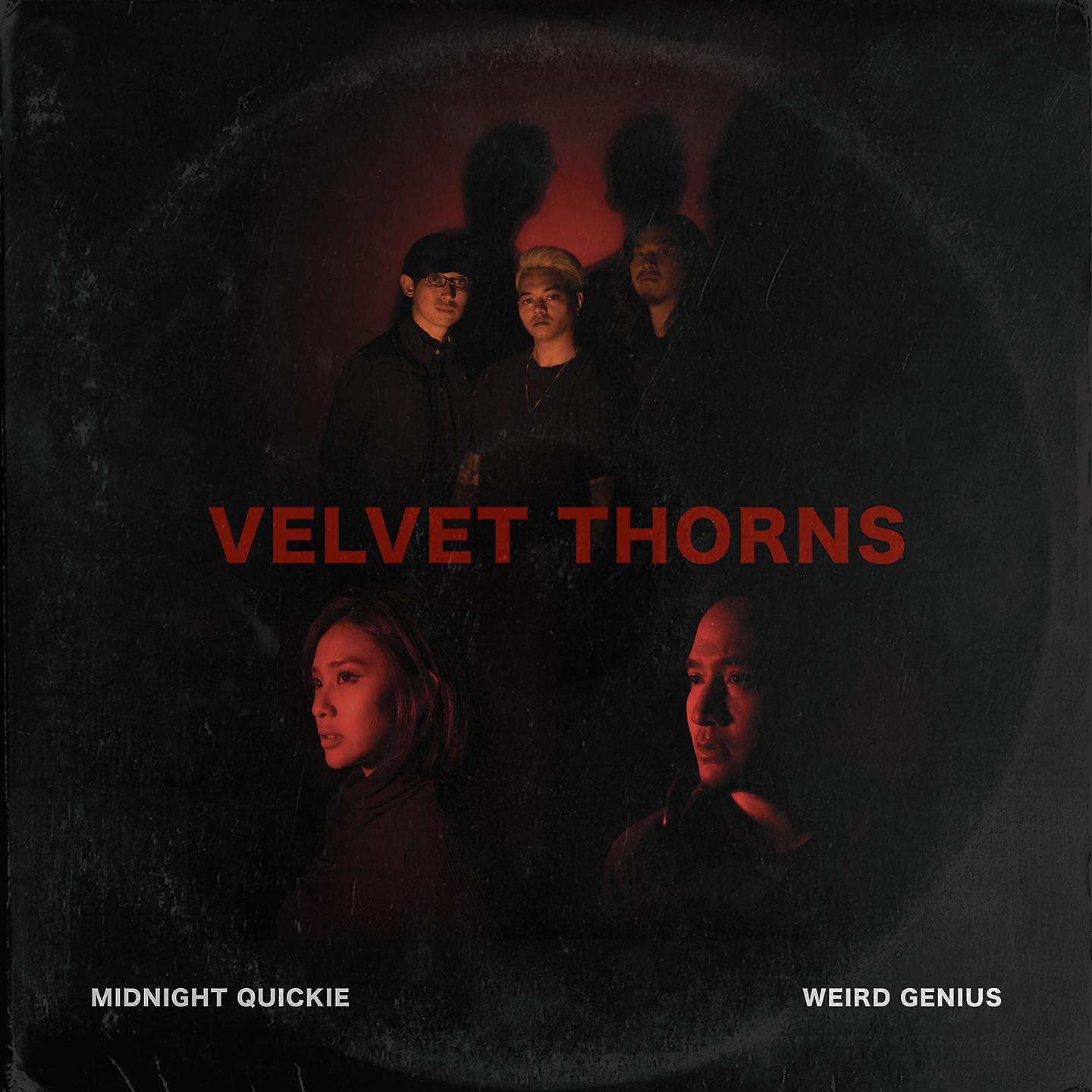 Постер альбома Velvet Thorns