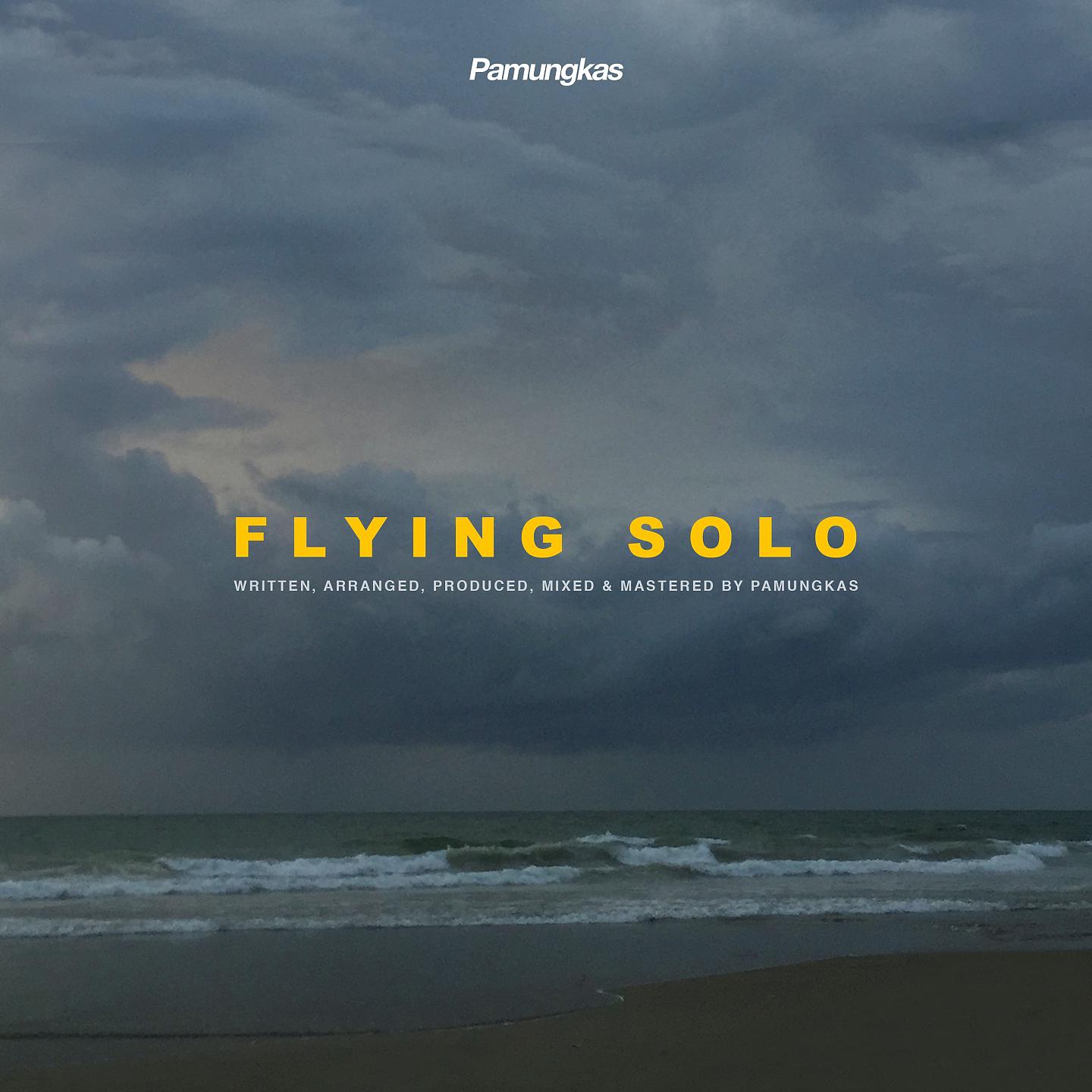 Постер альбома Flying Solo