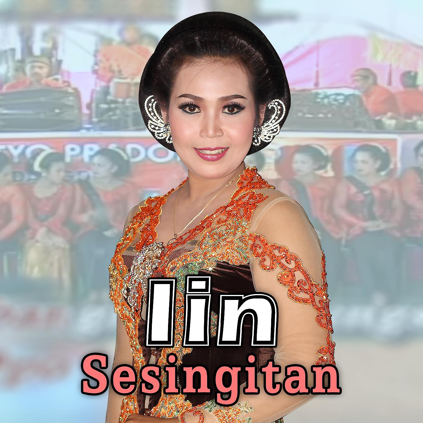 Постер альбома Sesingitan
