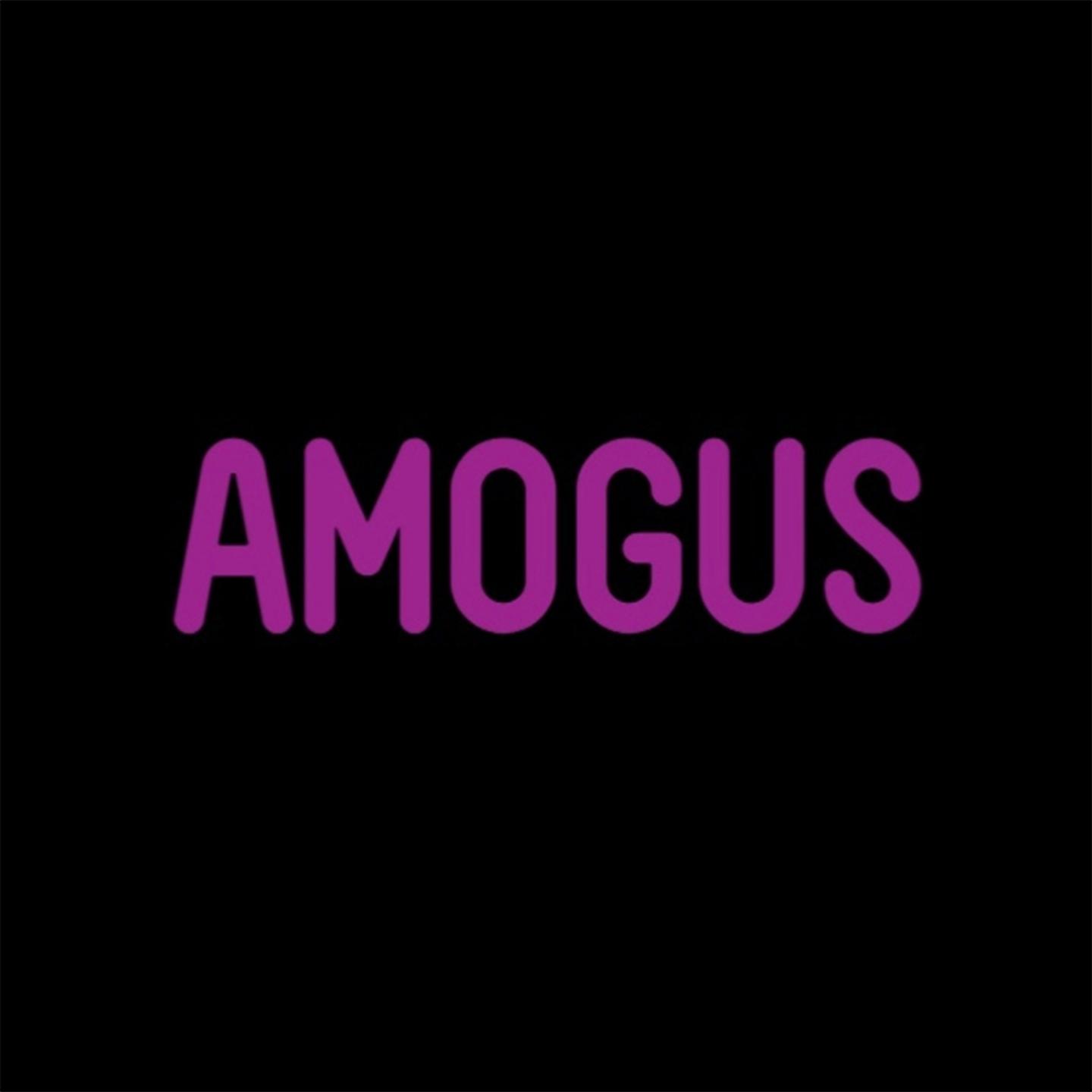 Постер альбома Amogus
