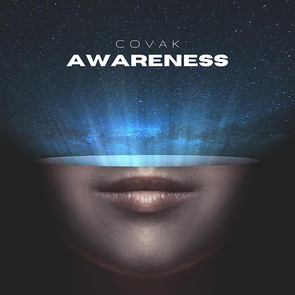 Постер альбома Awareness