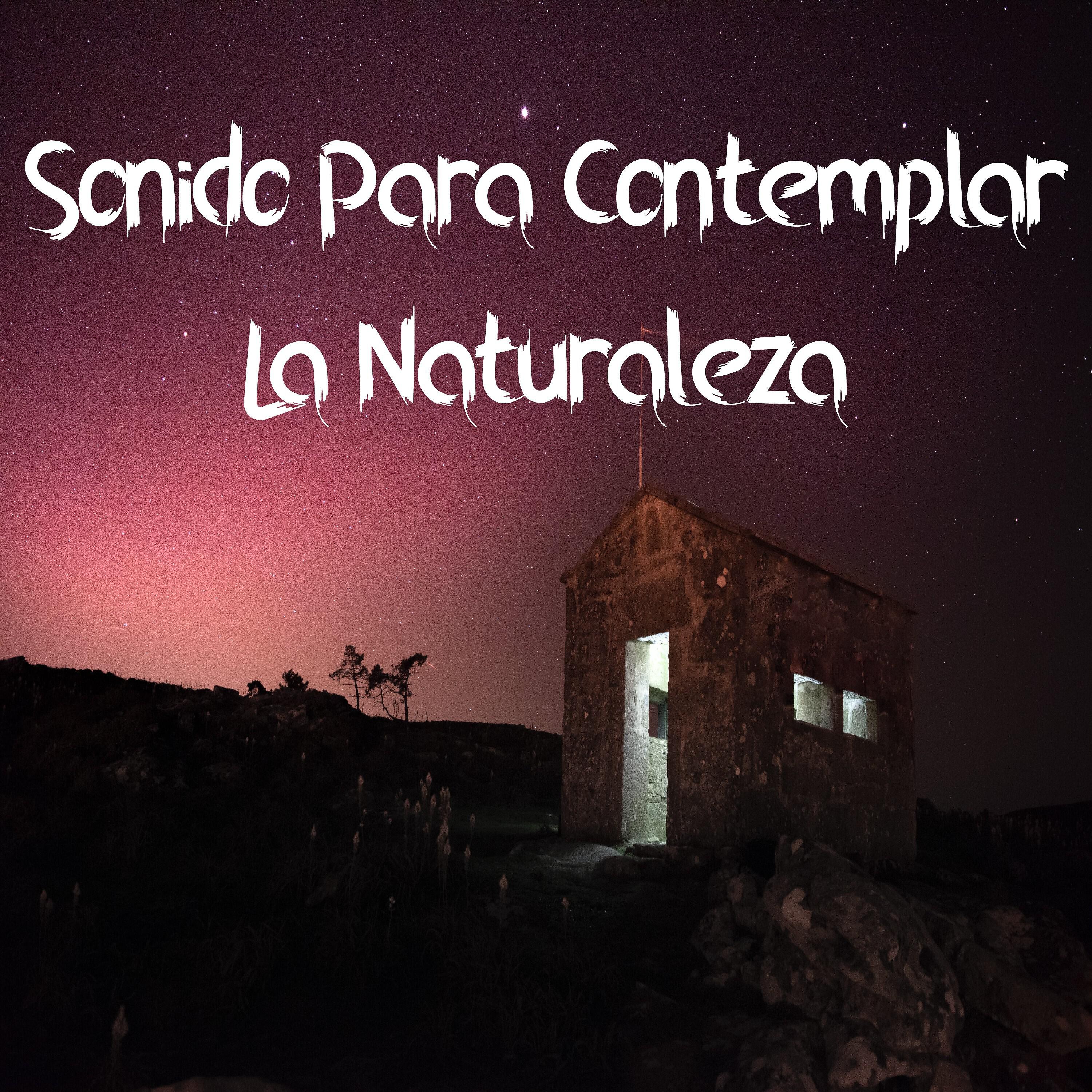 Relajación Y Purificación De La Mente - Me Está Dando Sueño
