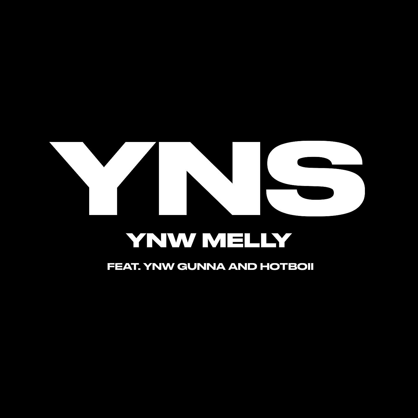 YNW Melly - Yung N**** Sh*t (feat. YNW Gunna & Hotboii)