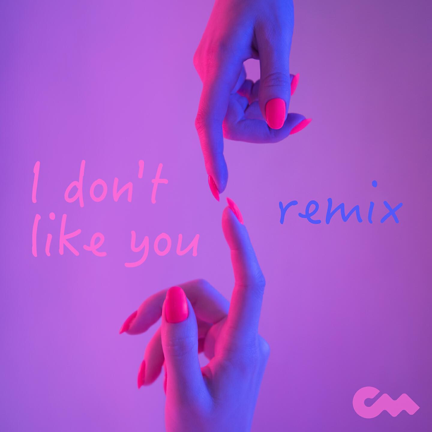 Kraig Rizzle - I Don't Like You (Remix)