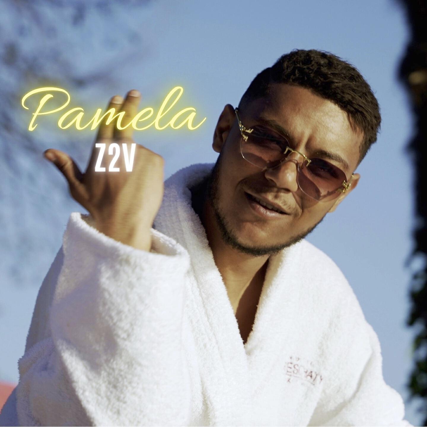 Z2V - Pamela