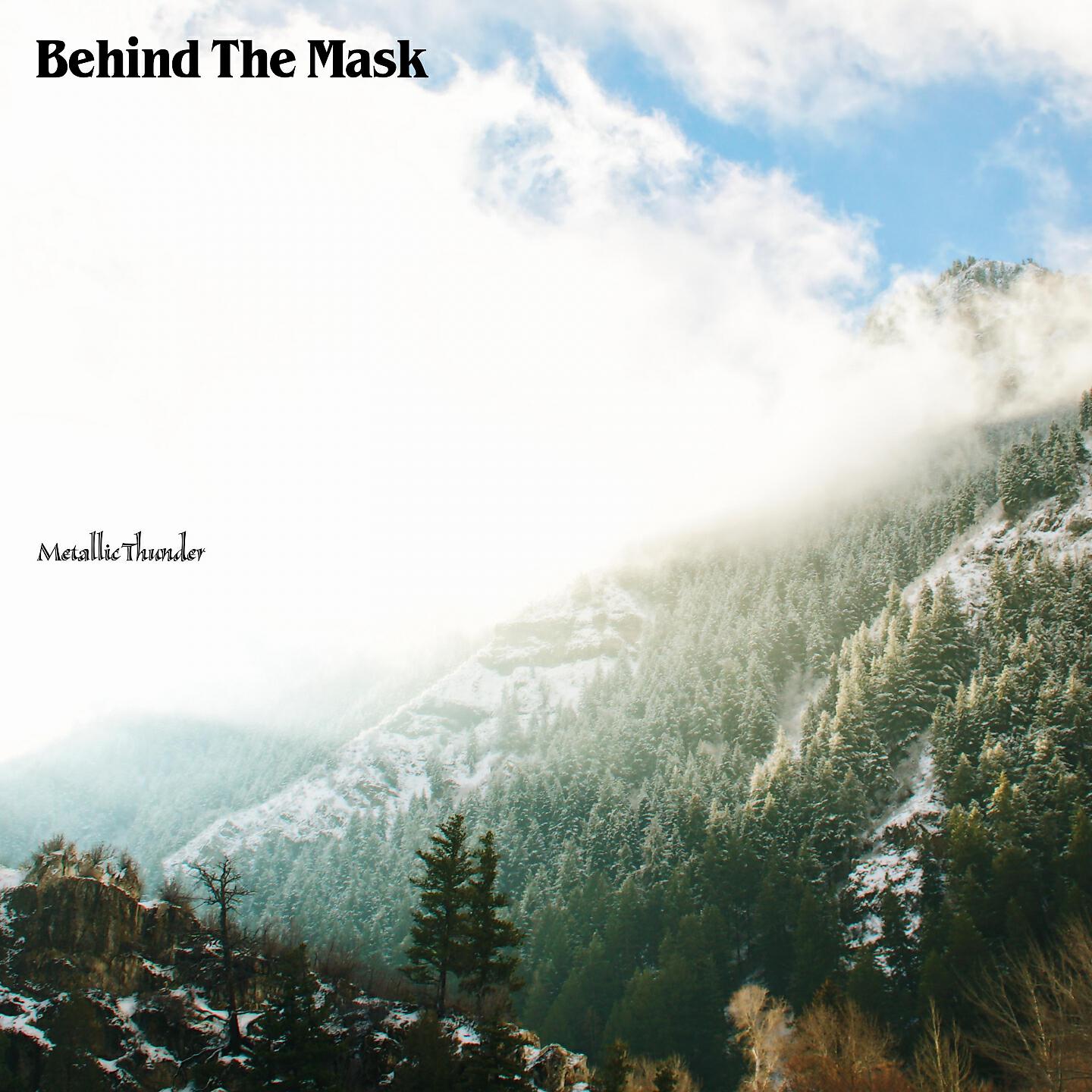 Metallic Thunder - Wild Things