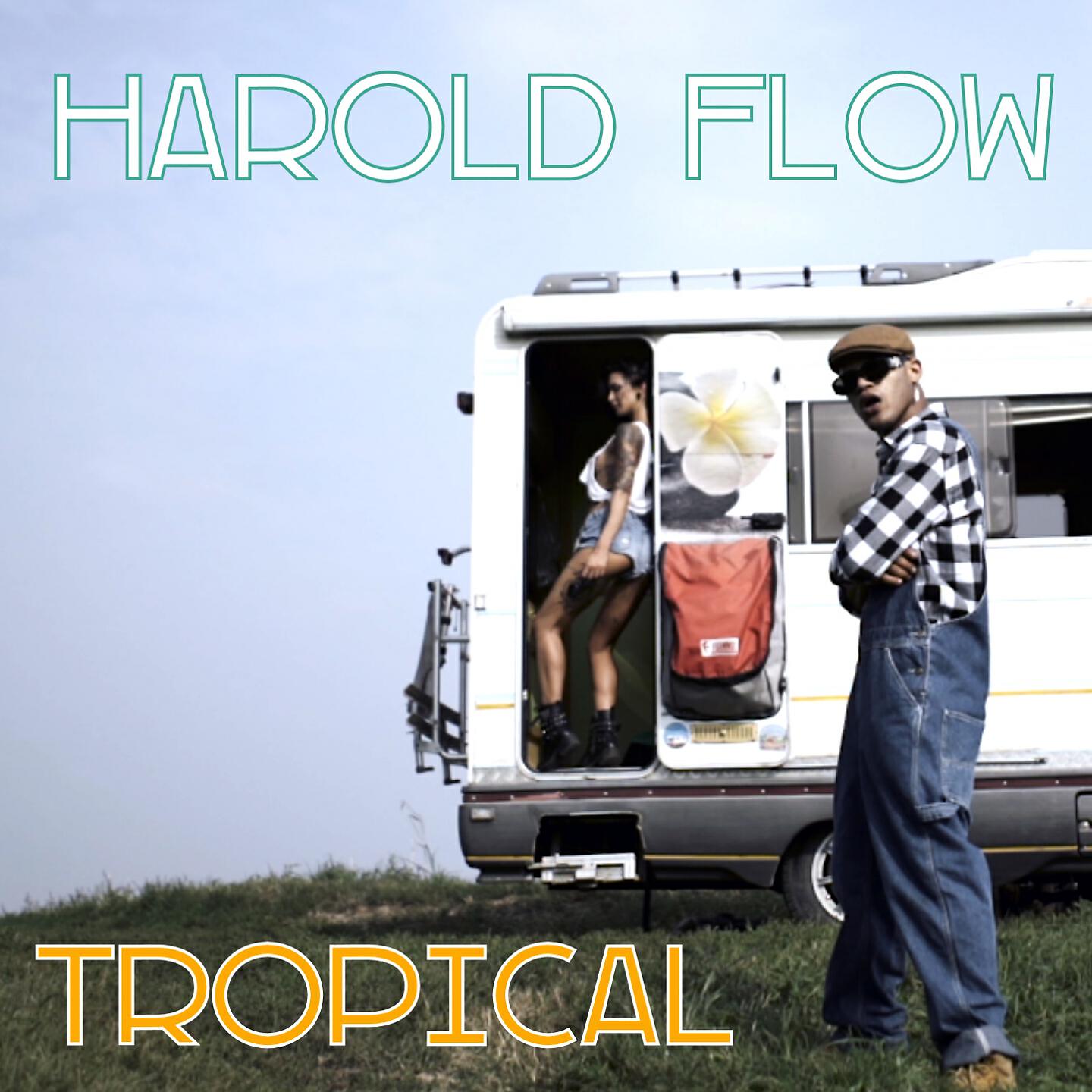 HAROLD FLOW - Si Tu Te Vas