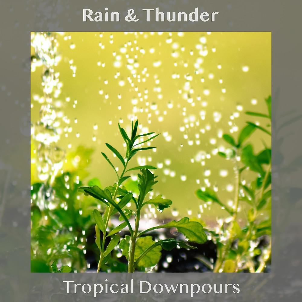 Постер альбома Tropical Downpours