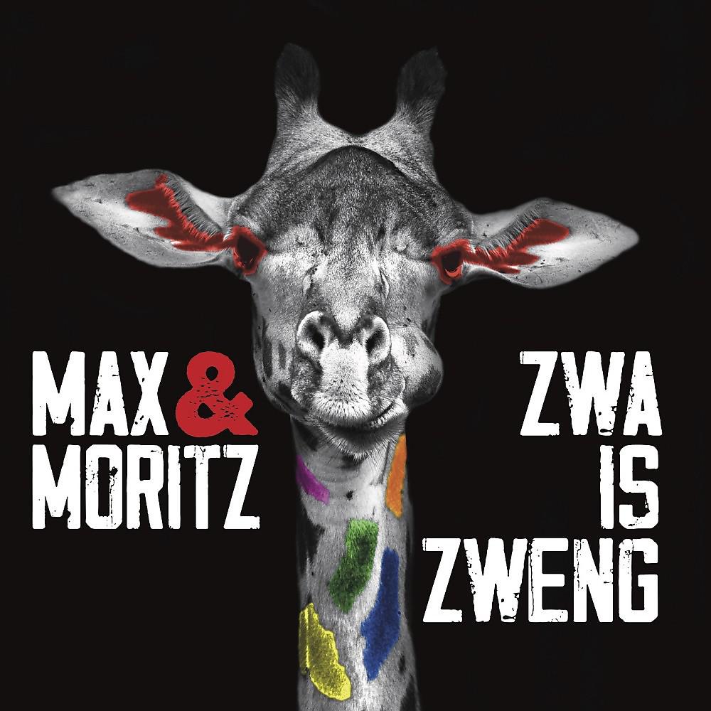 Постер альбома Zwa is zweng