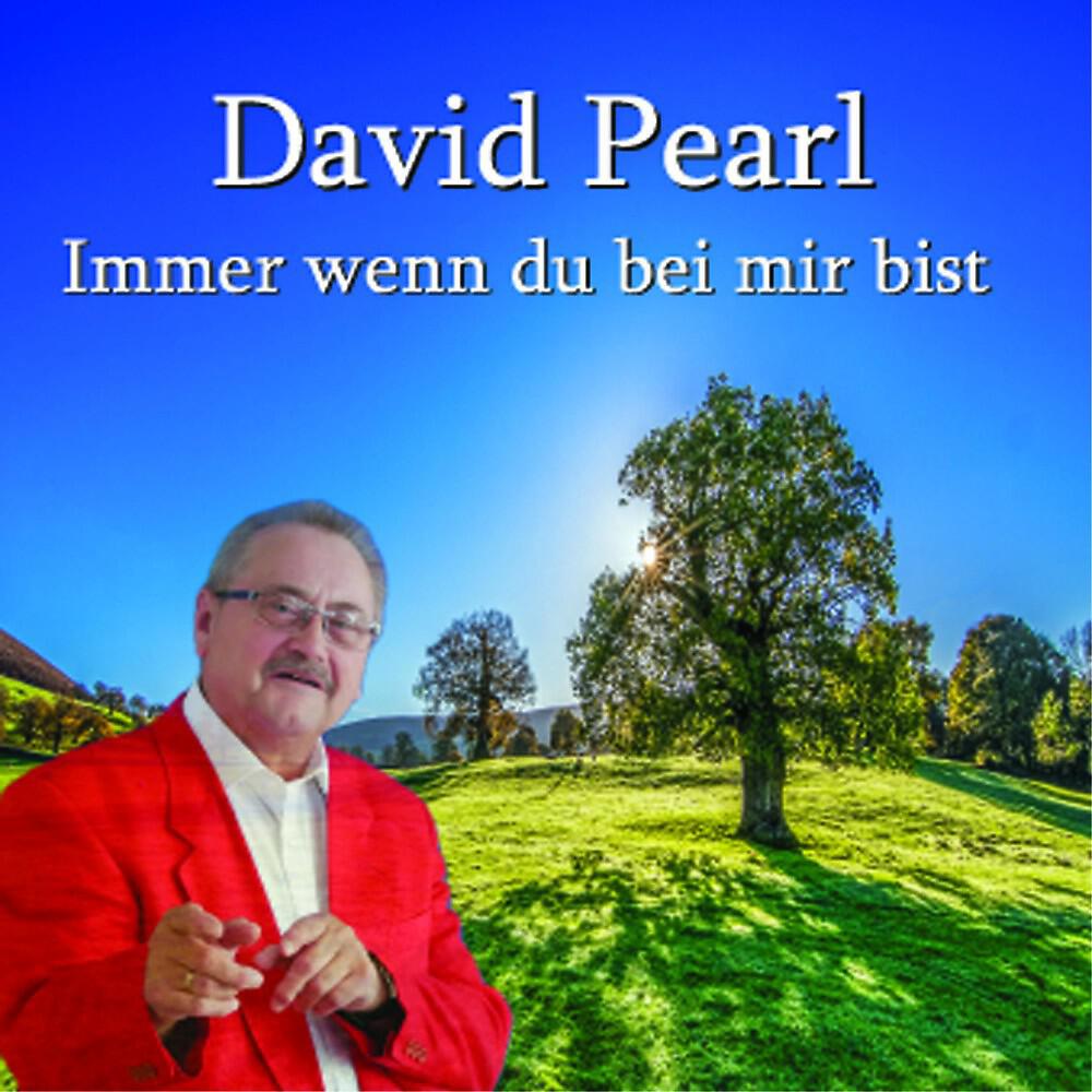 David Pearl - Immer wenn du bei mir bist (Radio Mix)