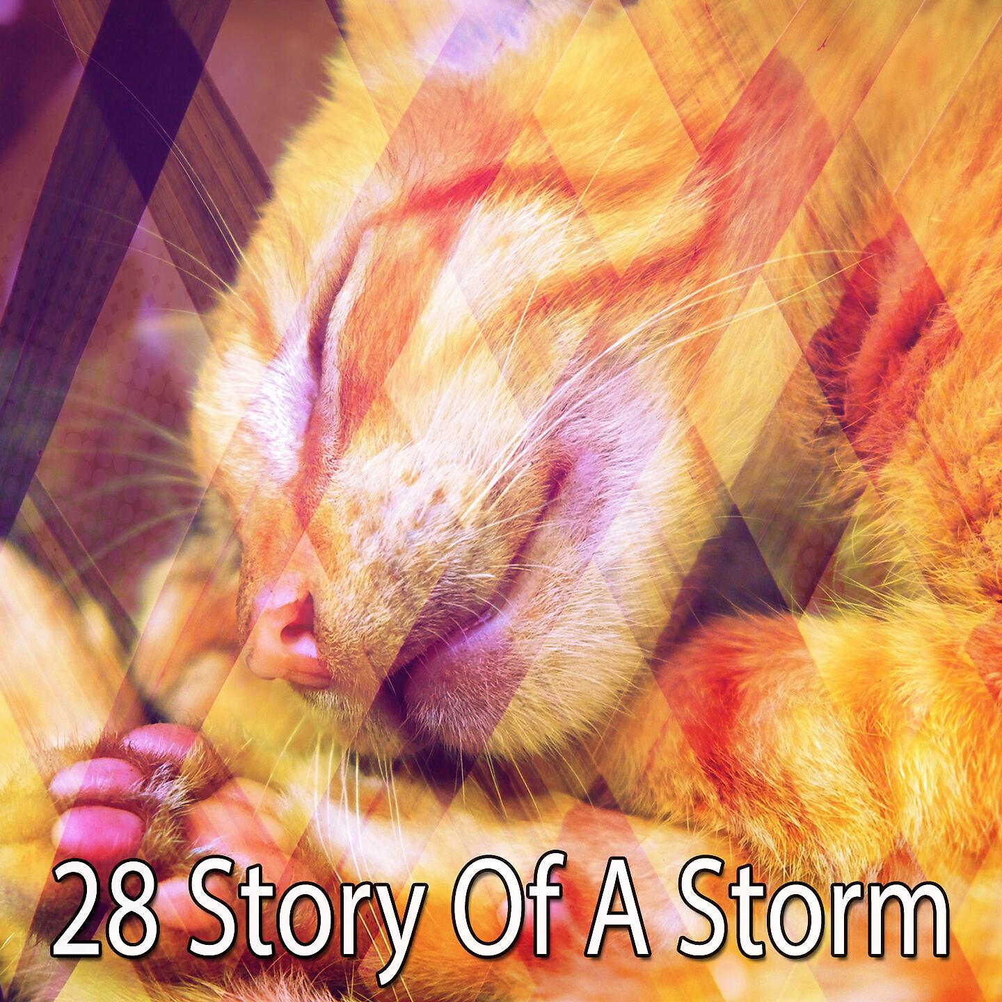 Rain Sounds - Thors Awakening