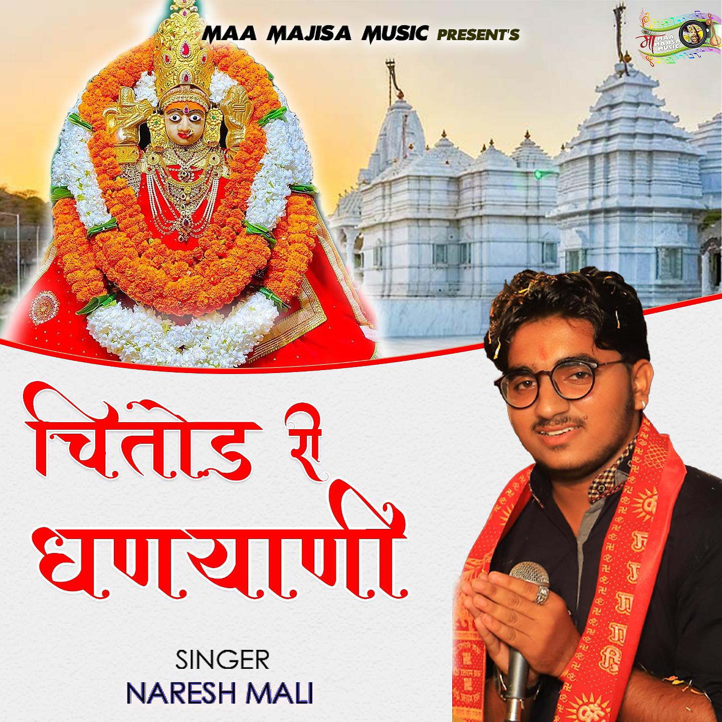 Naresh Mali - Chittor Ri Dhanyani