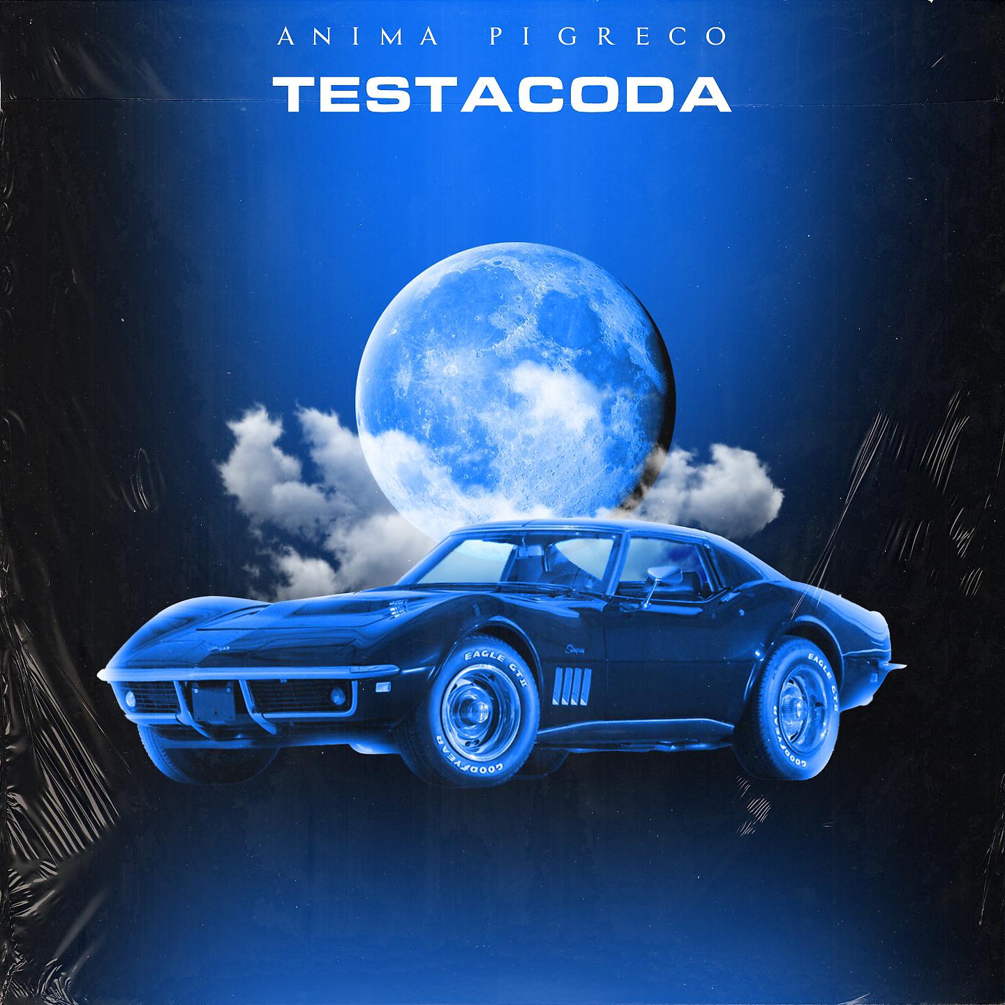 Постер альбома Testacoda