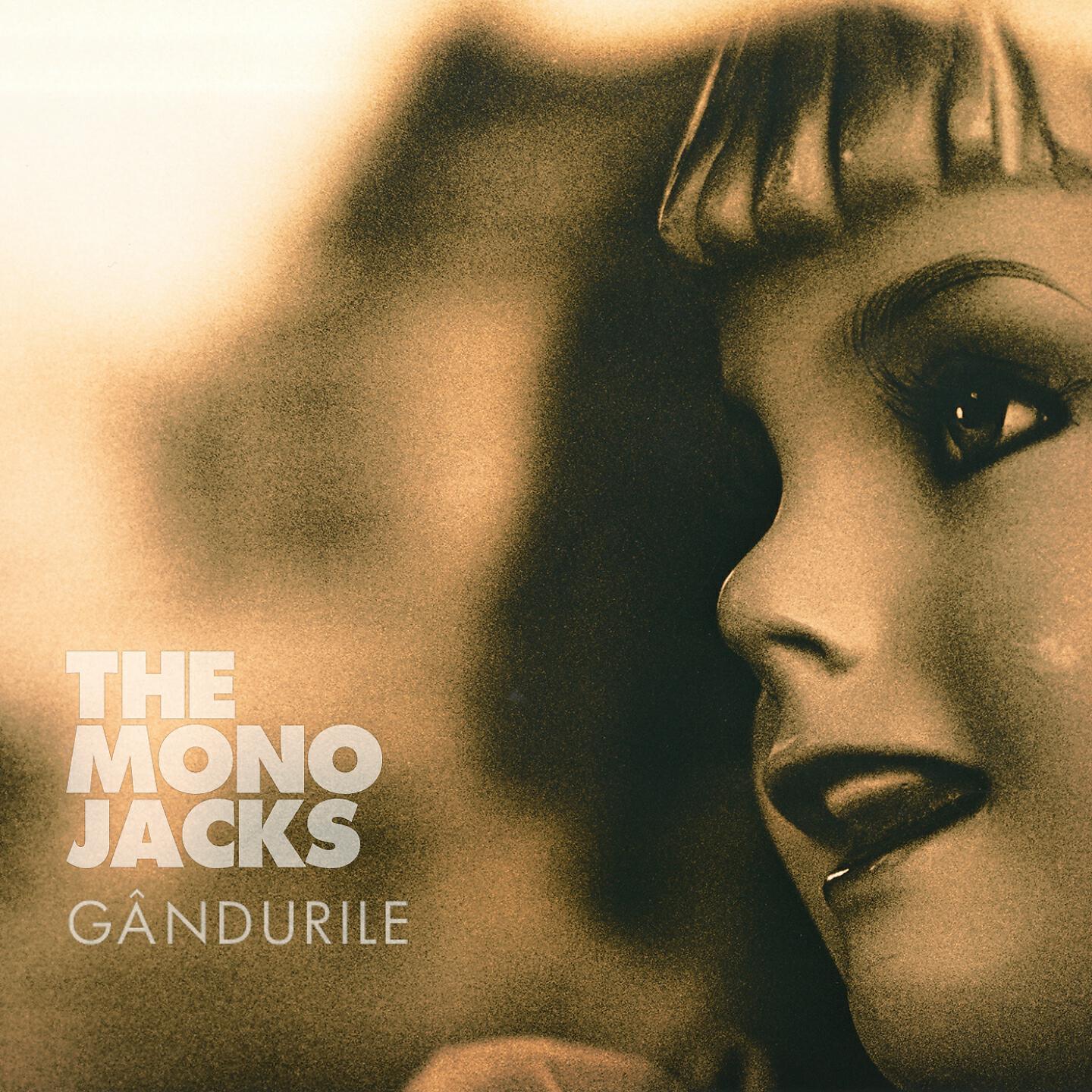 The Mono Jacks - Gândurile (BLN Remix)