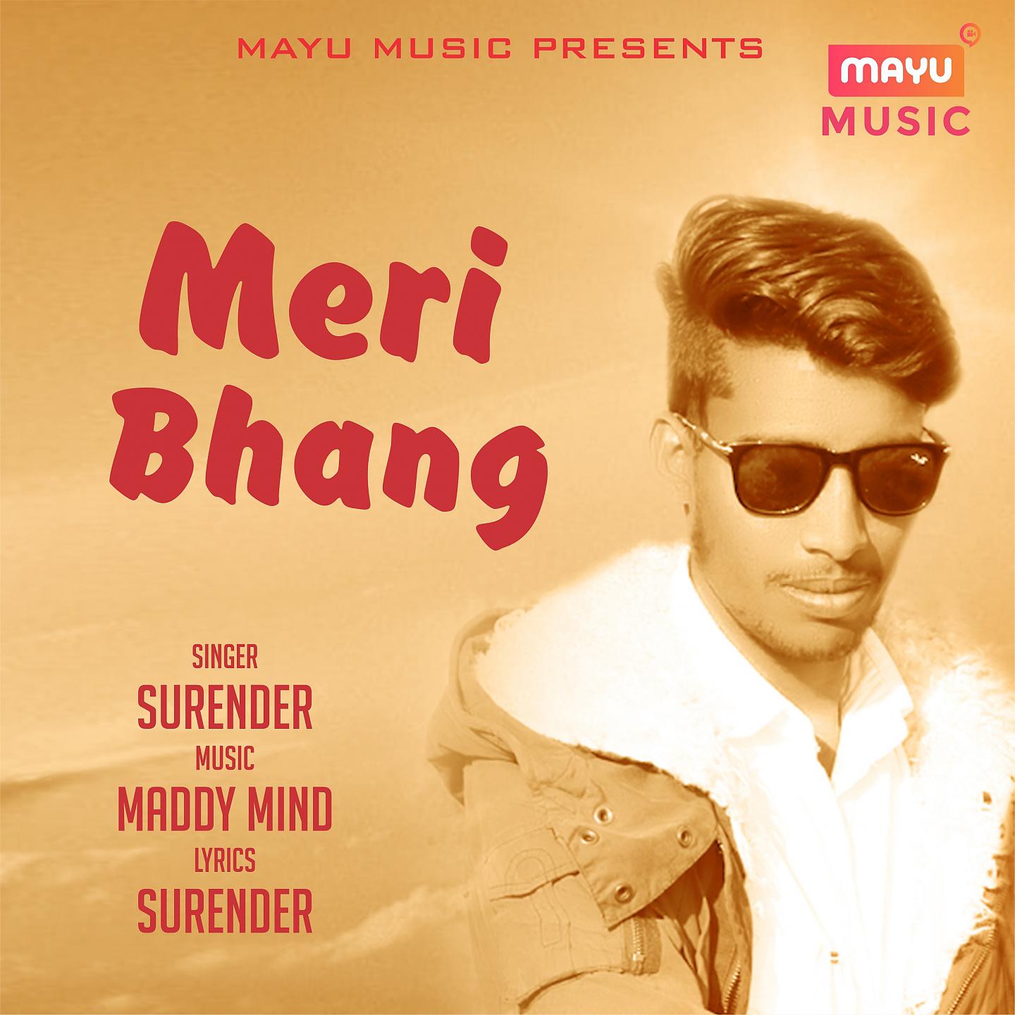 Постер альбома Meri Bhang