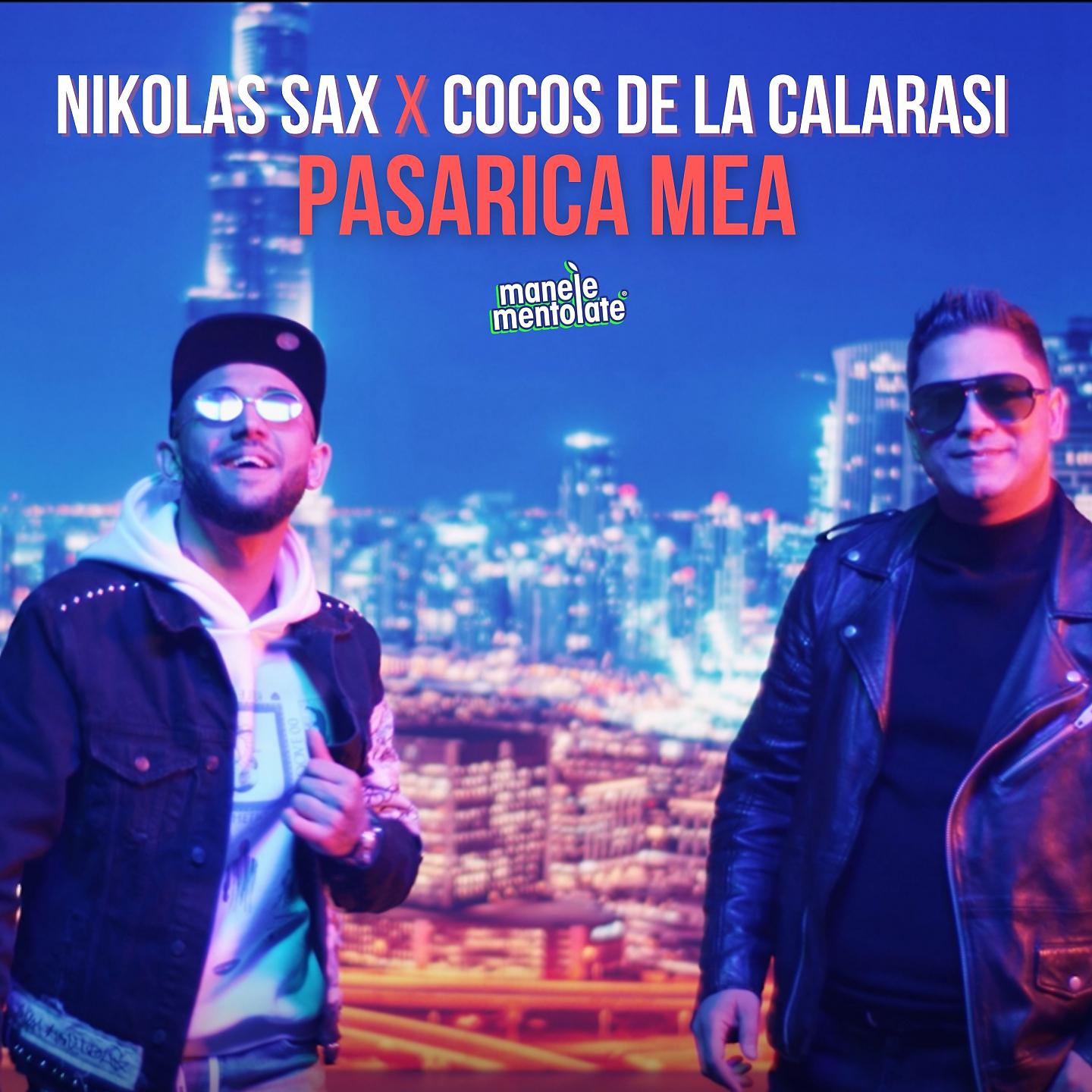 Постер альбома Pasarica Mea