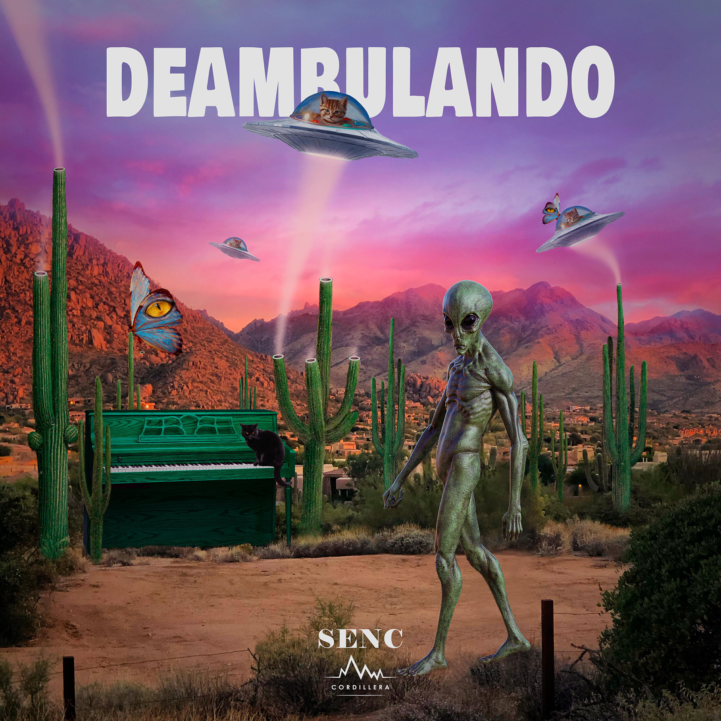 SENC - Deambulando