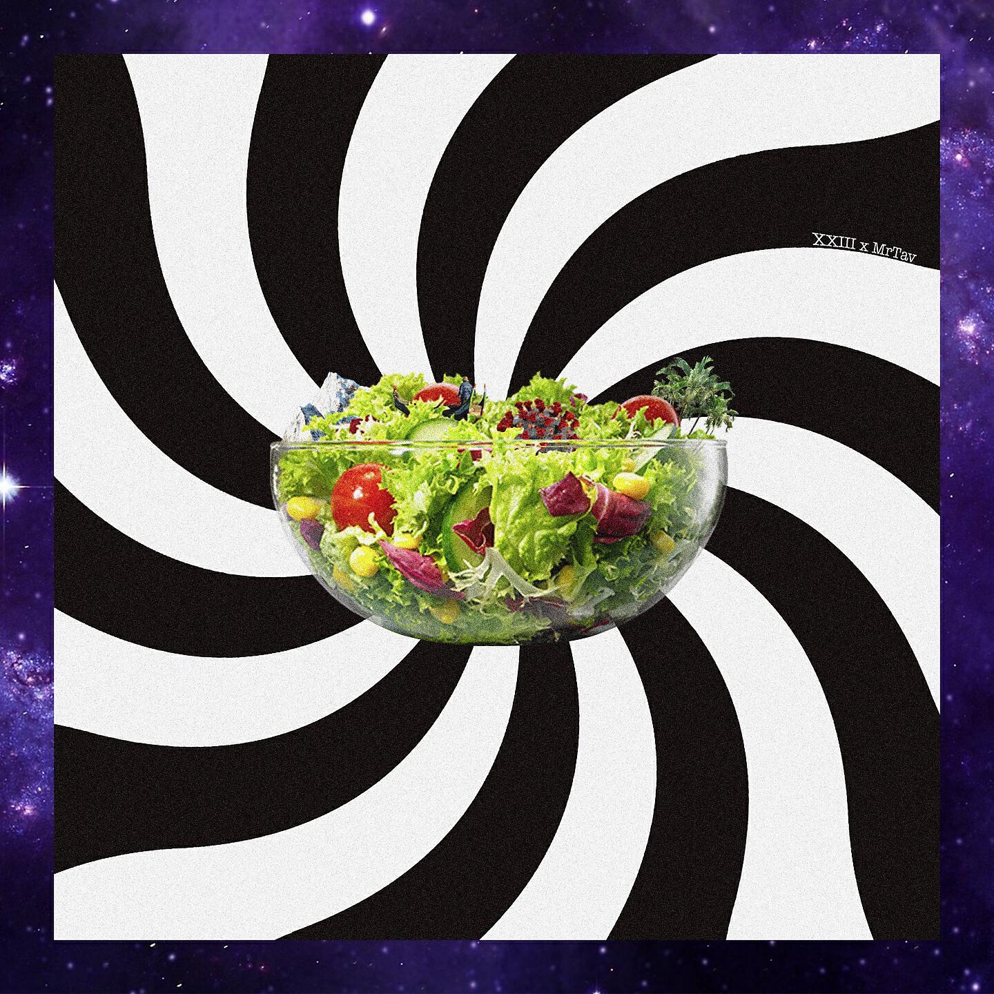 XXIII - Spaceship Carrots