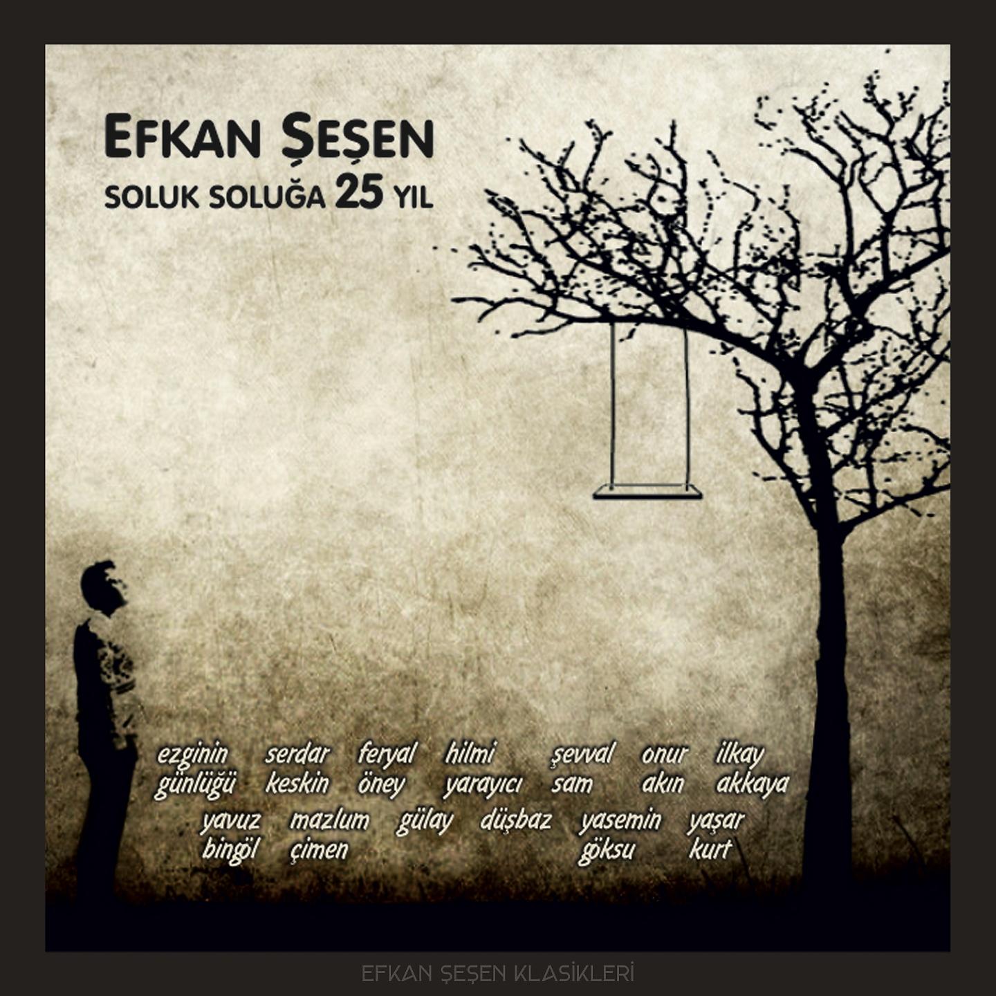 Постер альбома Soluk Soluğa 25 Yıl