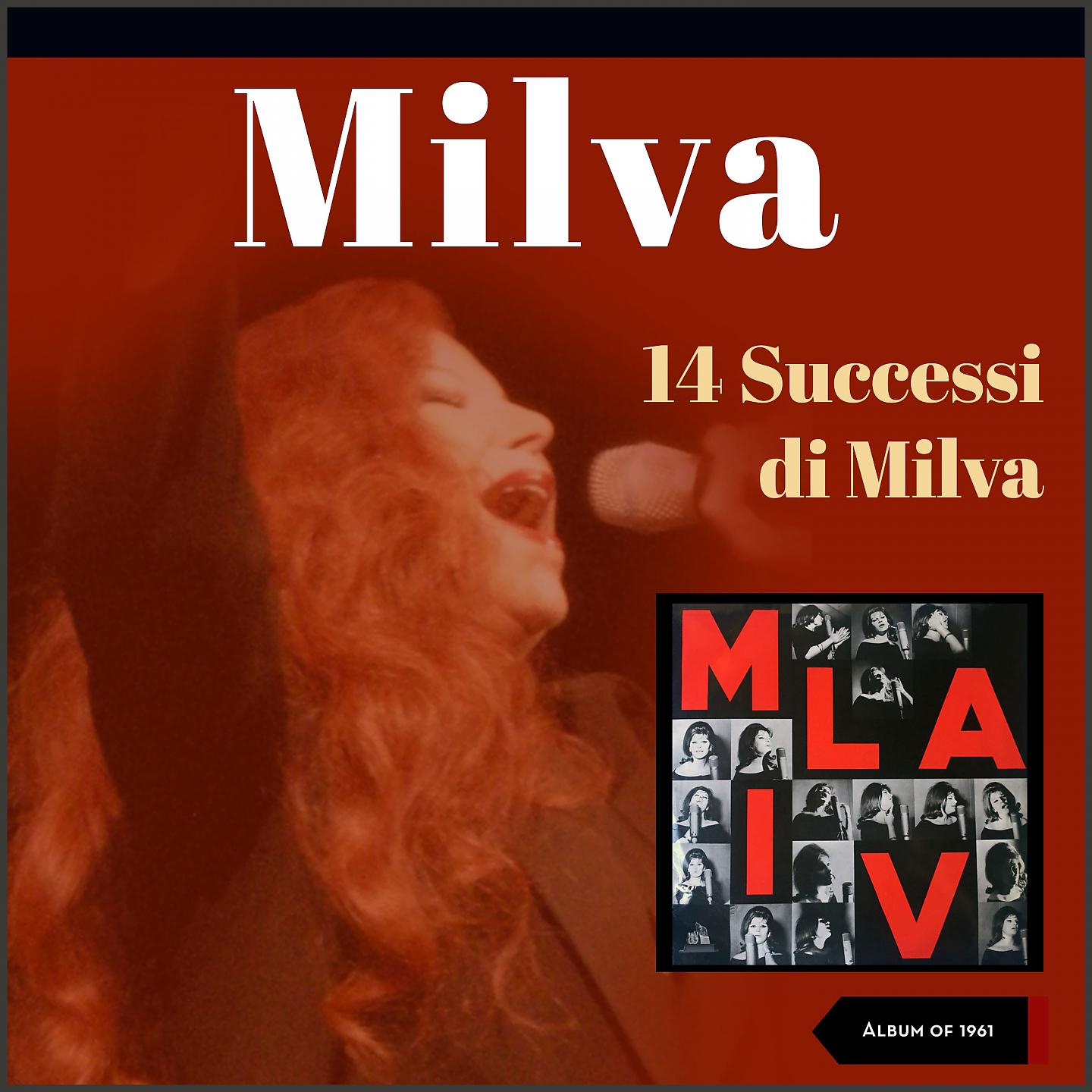 Постер альбома 14 Successi Di Milva