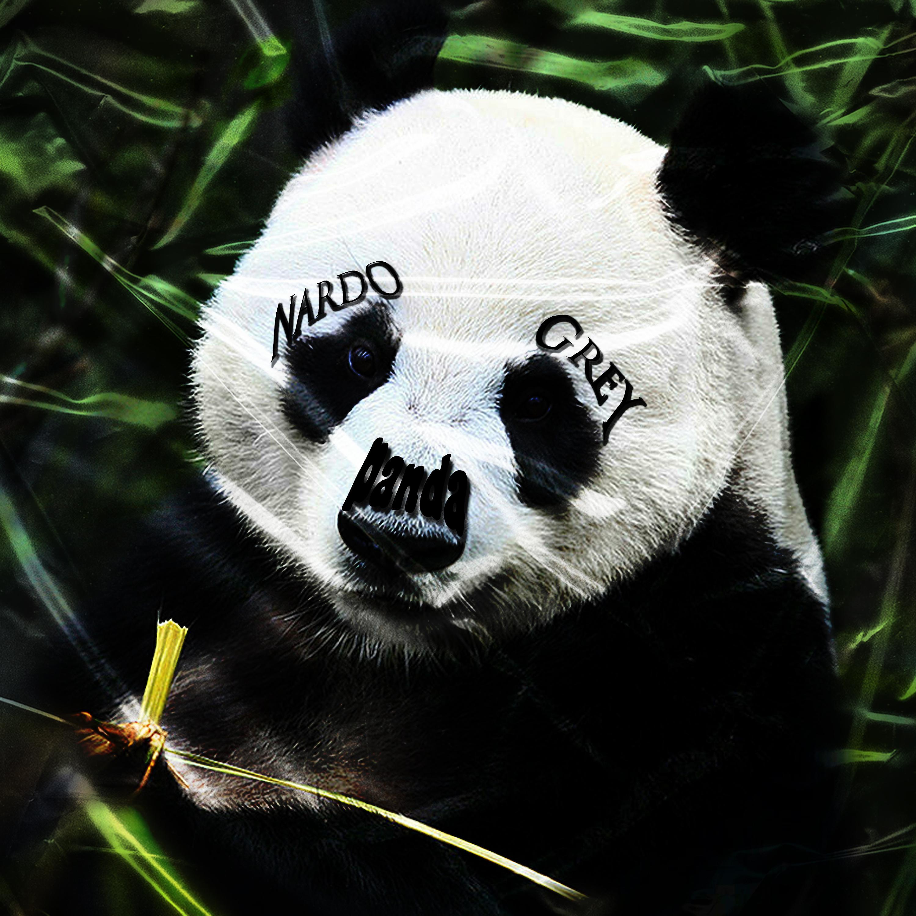 Постер альбома Панда