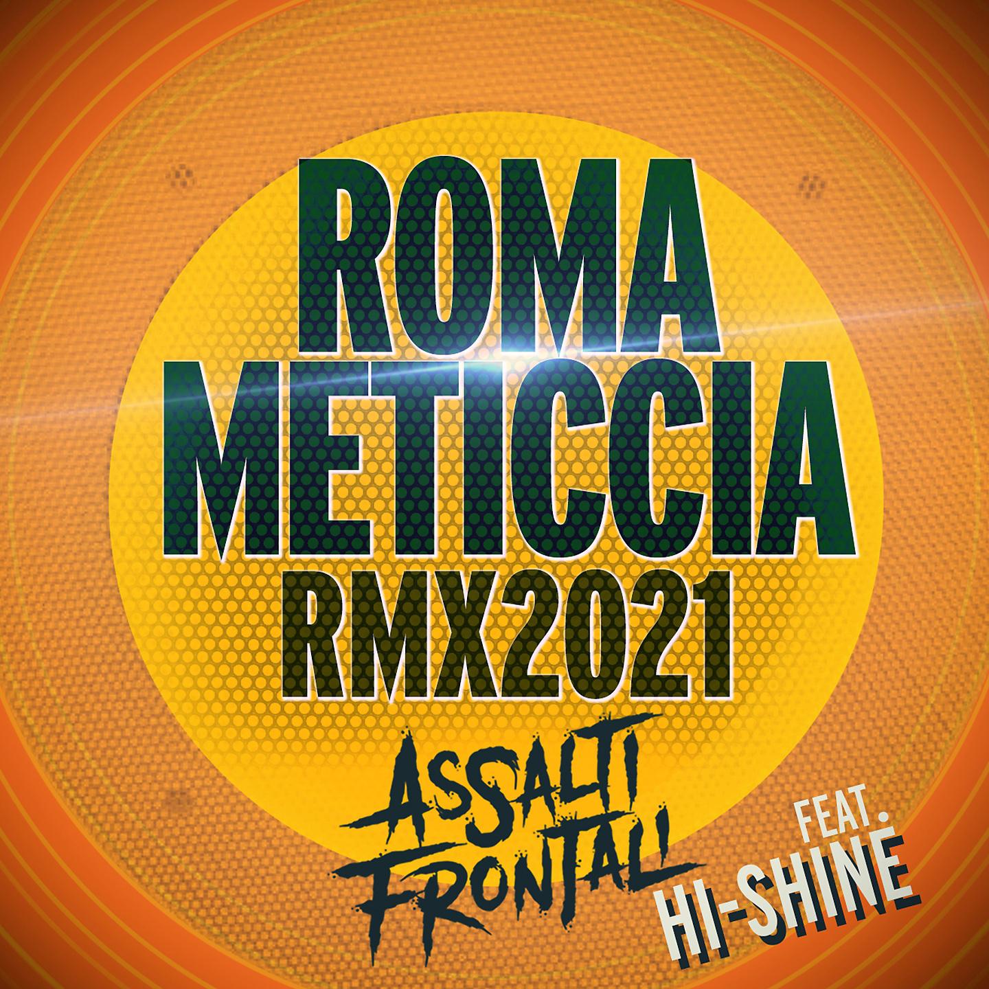 Постер альбома Roma meticcia