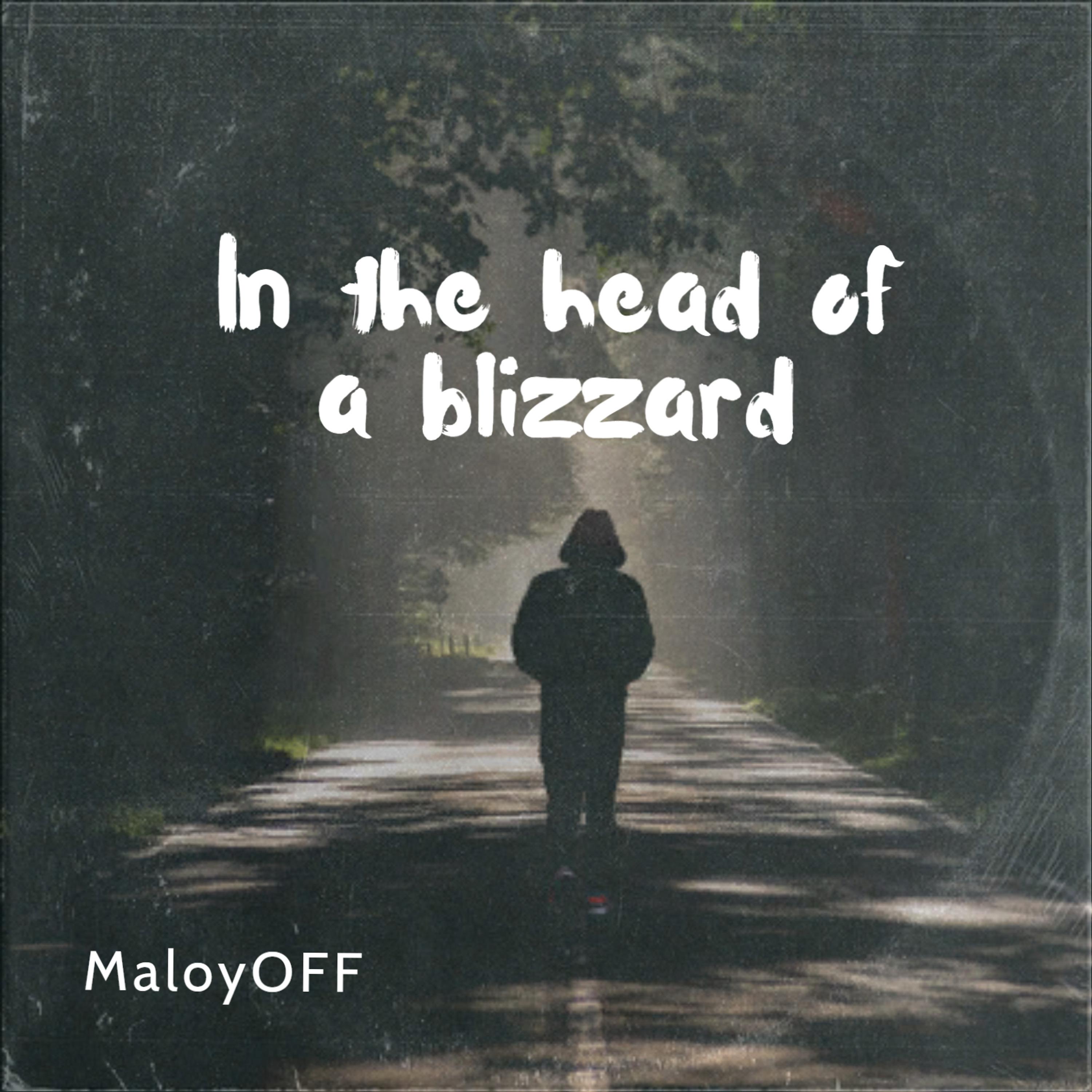 Постер альбома In the head of a blizzard