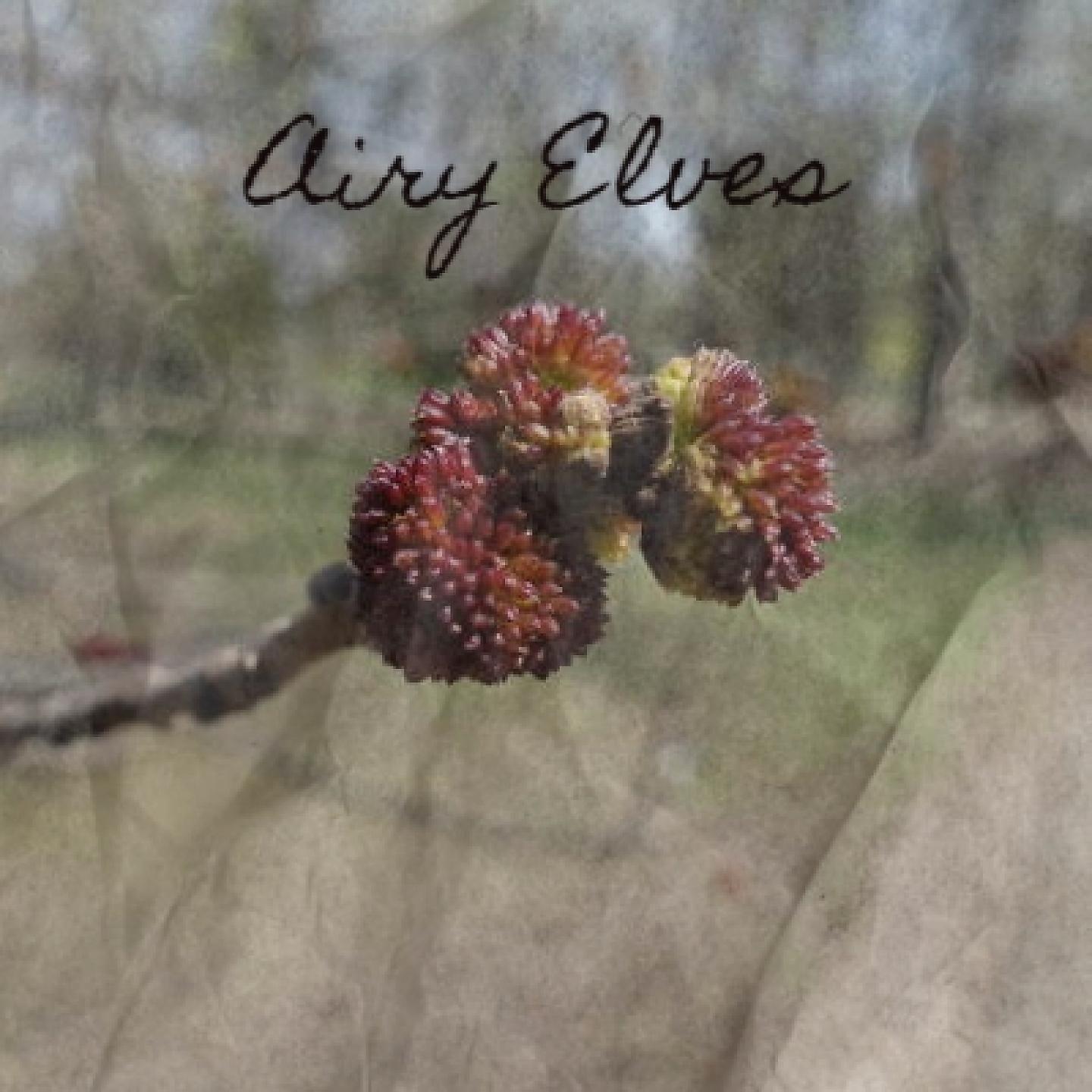 Постер альбома Airy Elves