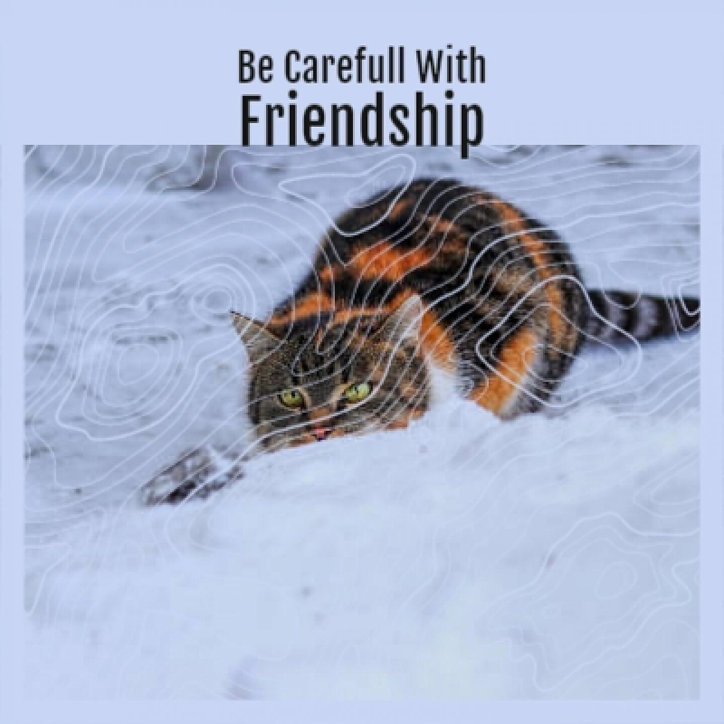 Alex North - Napoleon's Arrest (Original Soundtrack from 'Desiree')