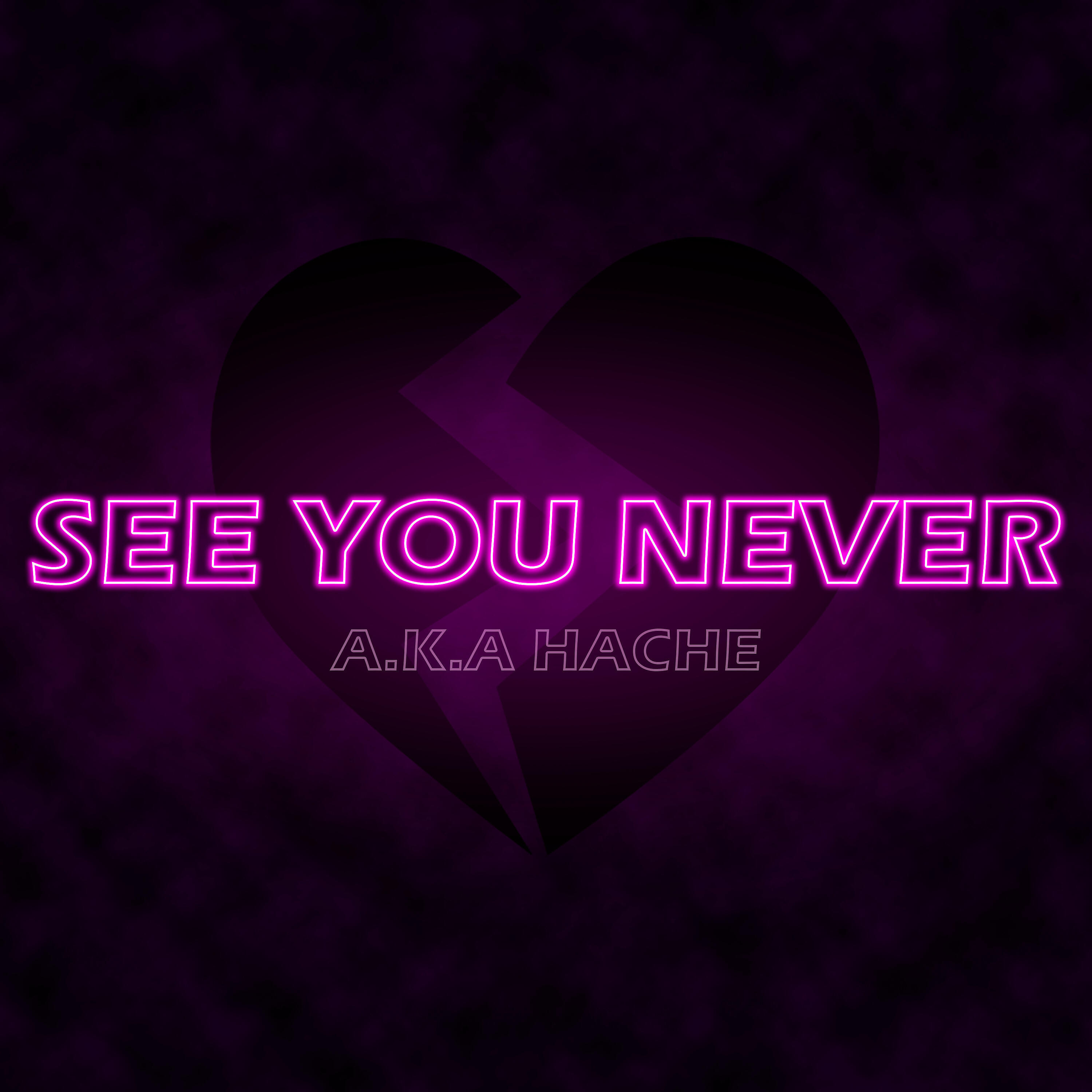 A.K.A. Hache - See You Never