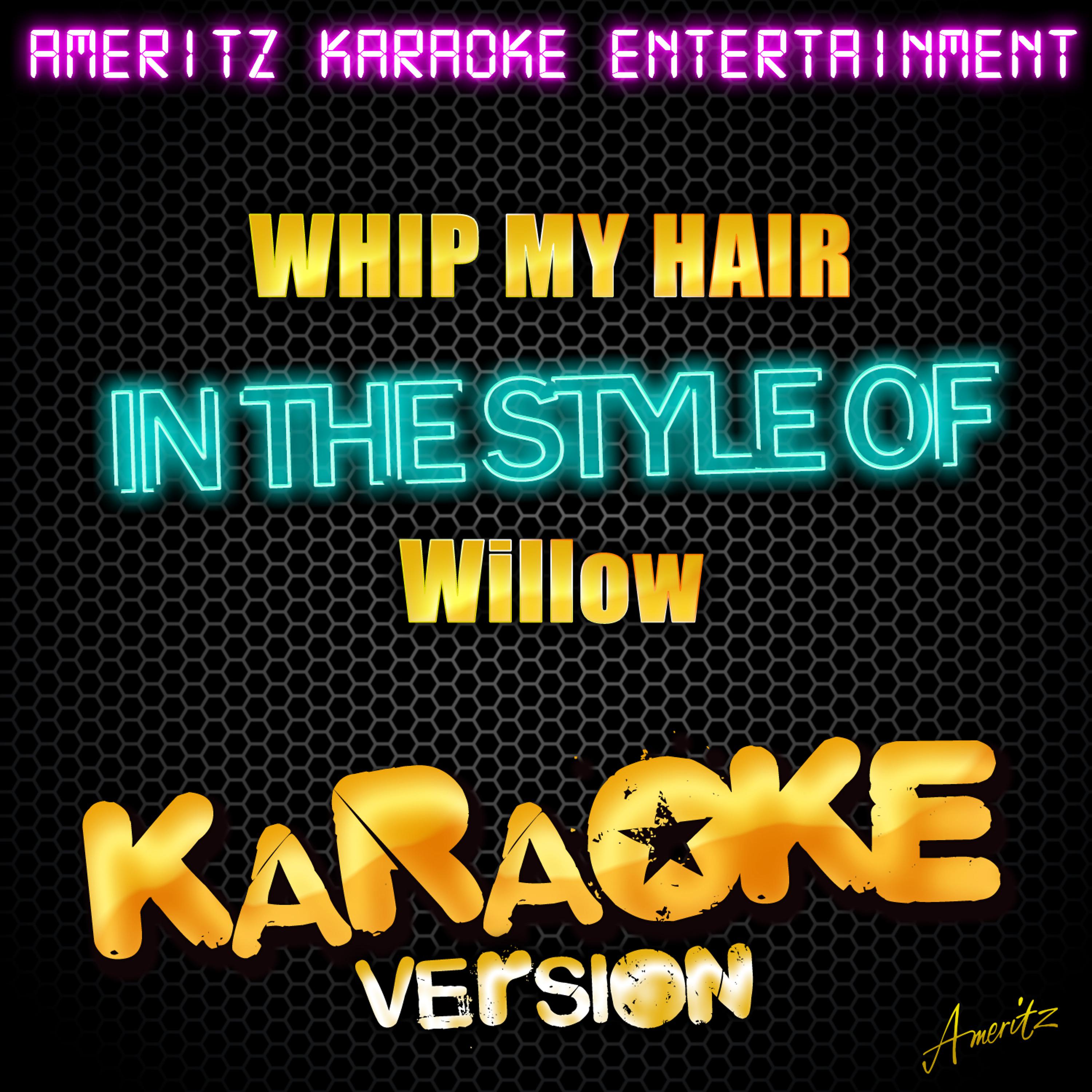Постер альбома Whip My Hair (In the Style of Willow) [Karaoke Version]