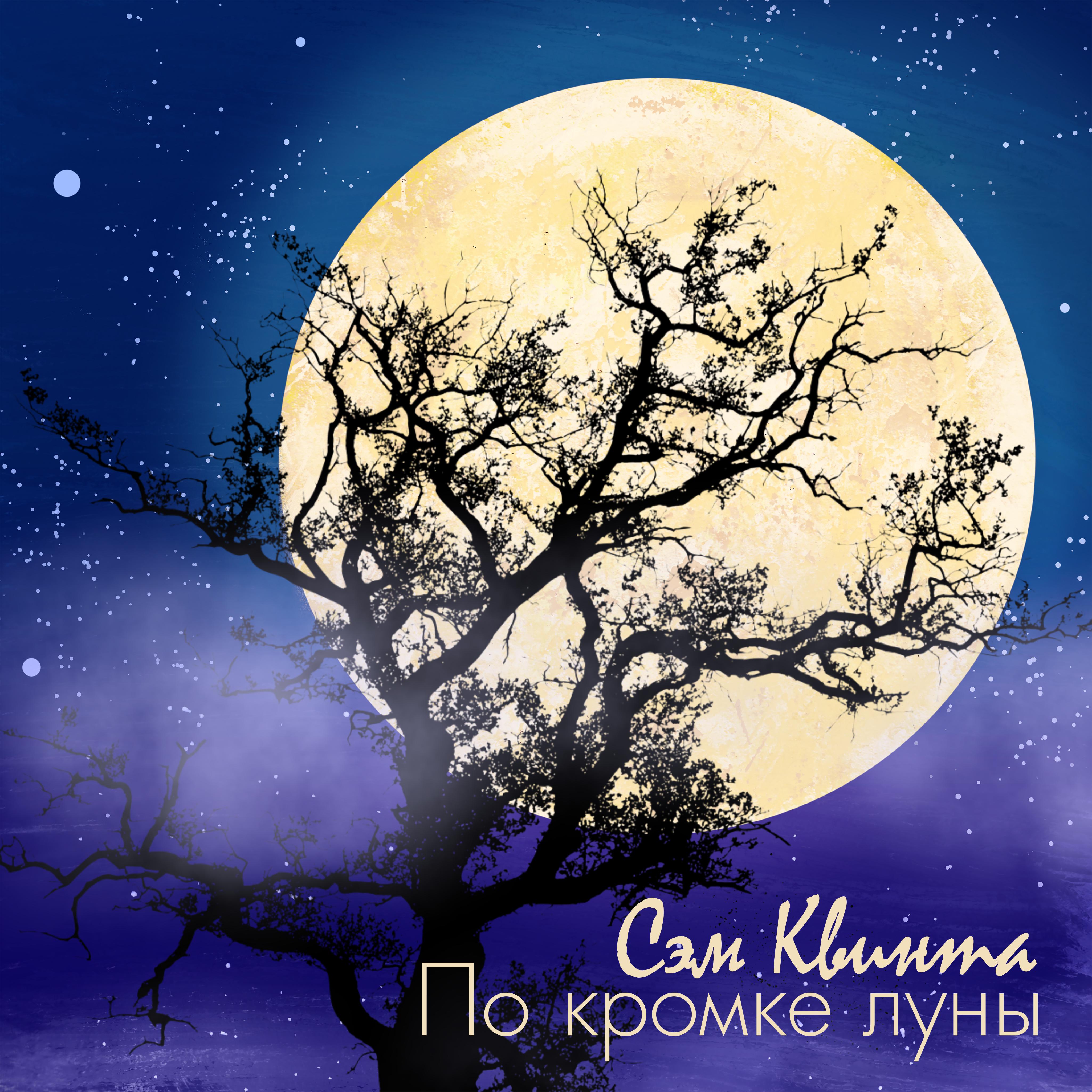 Постер альбома По кромке луны